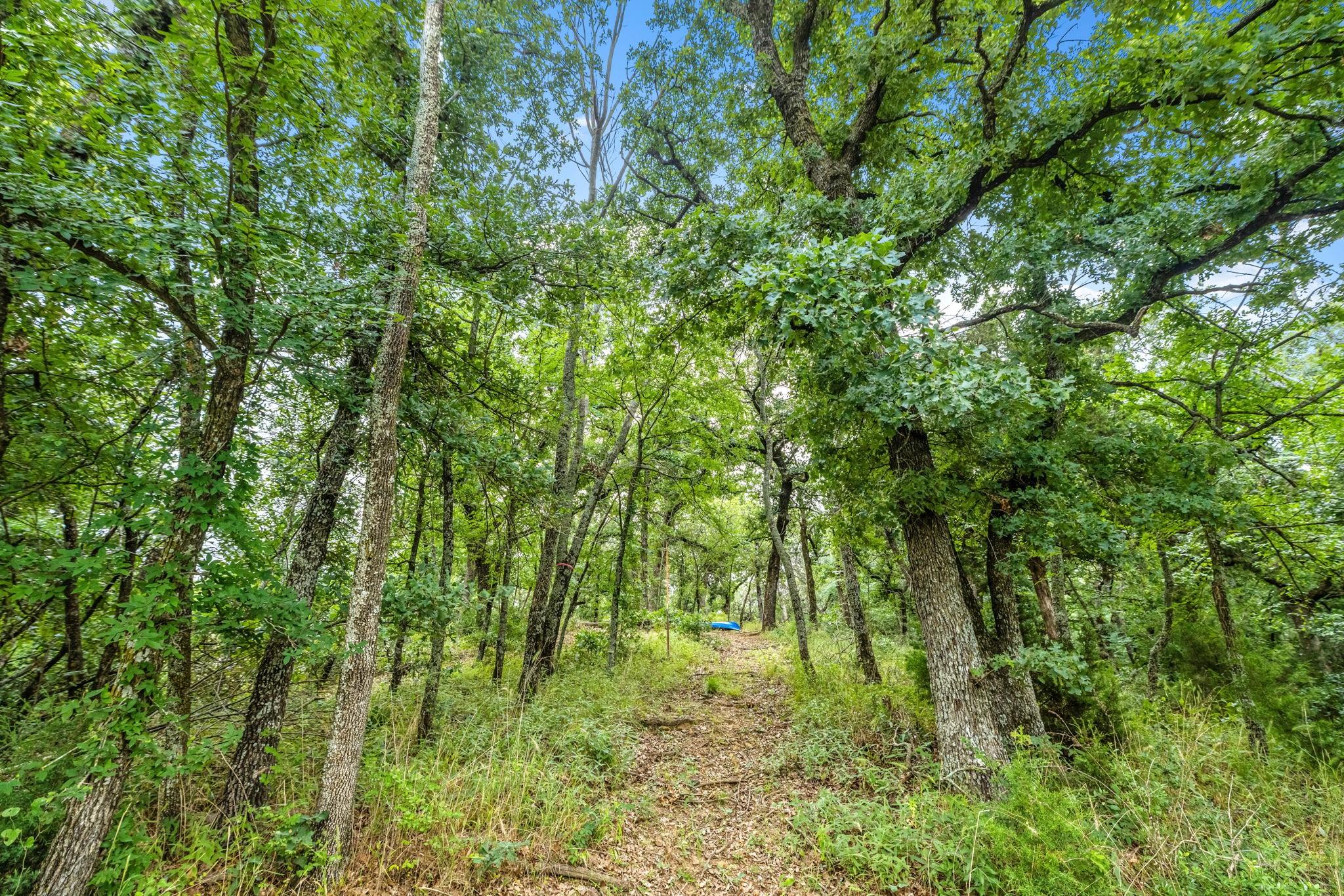 main property photo 31