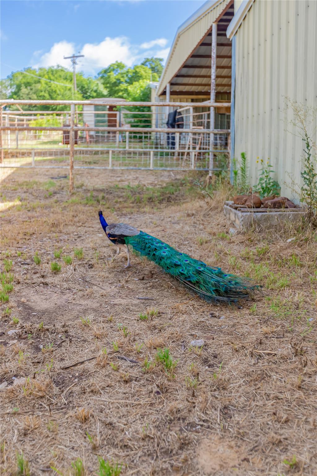 main property photo 13