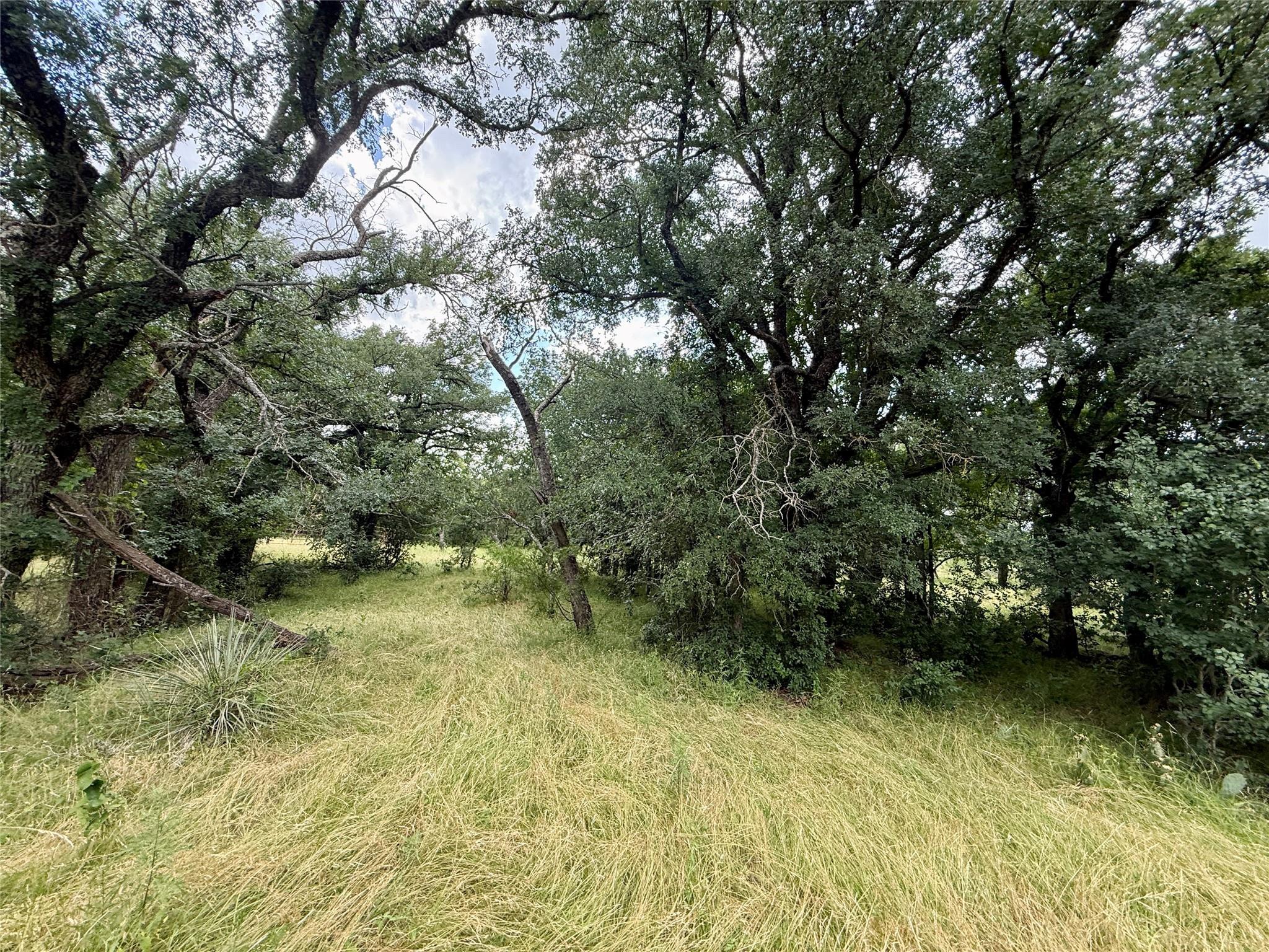 main property photo 21