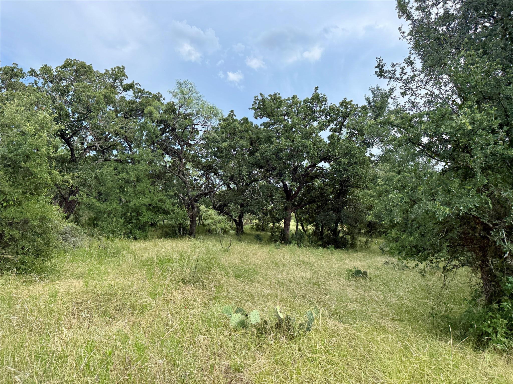 main property photo 30
