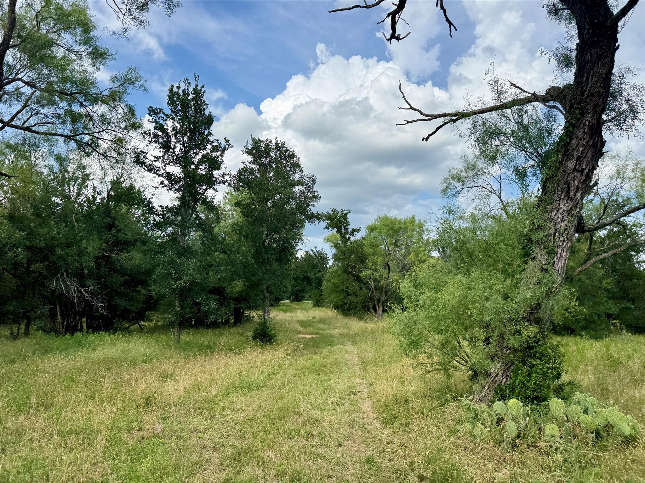 main property photo 36