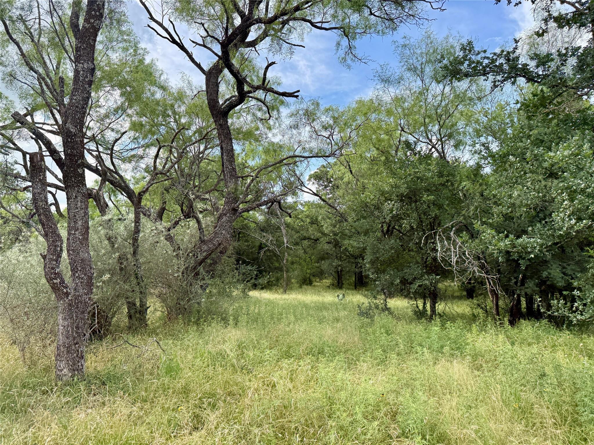 main property photo 37