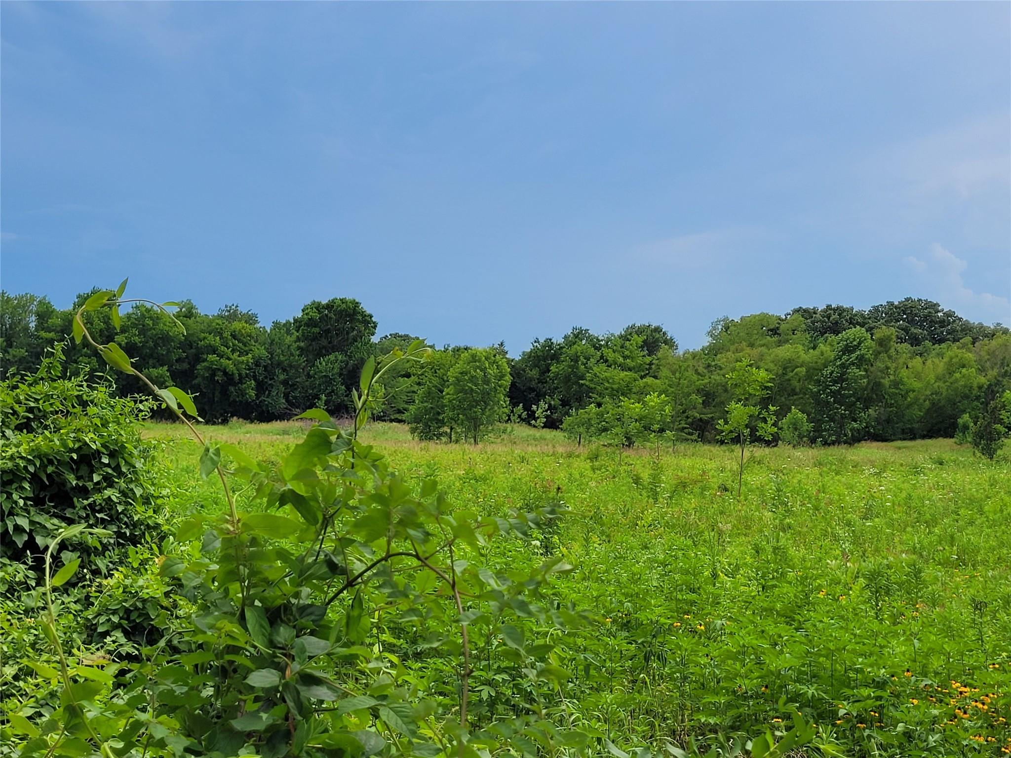 main property photo 16