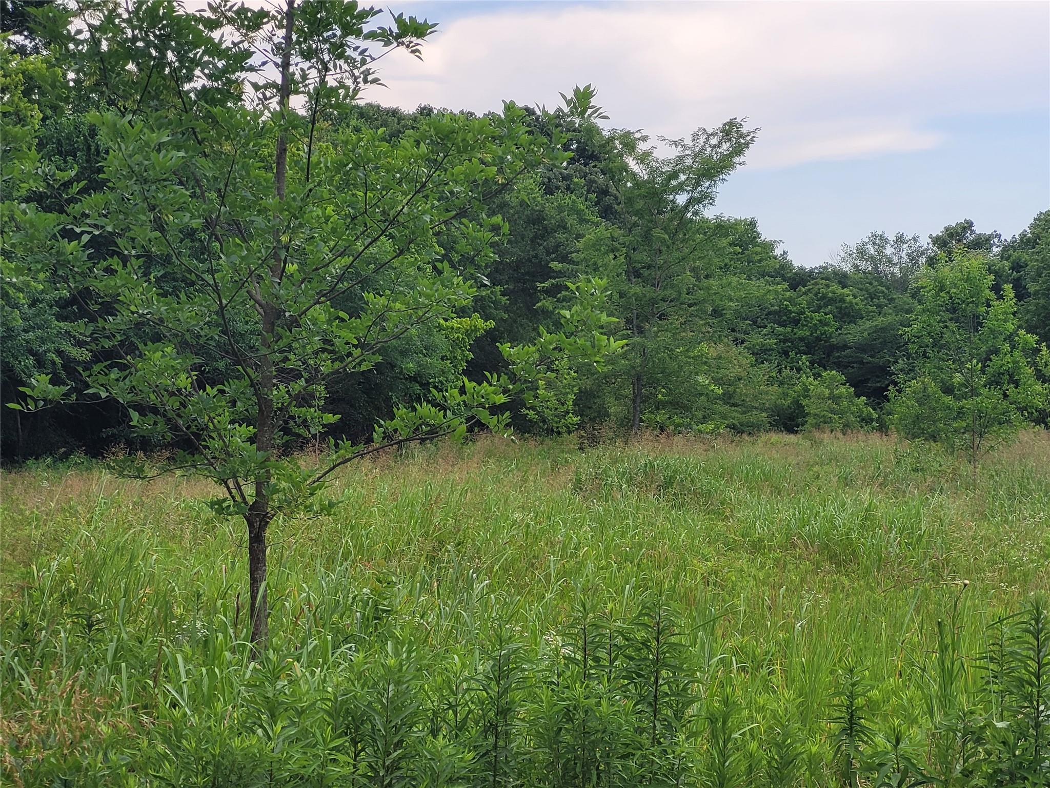 main property photo 25