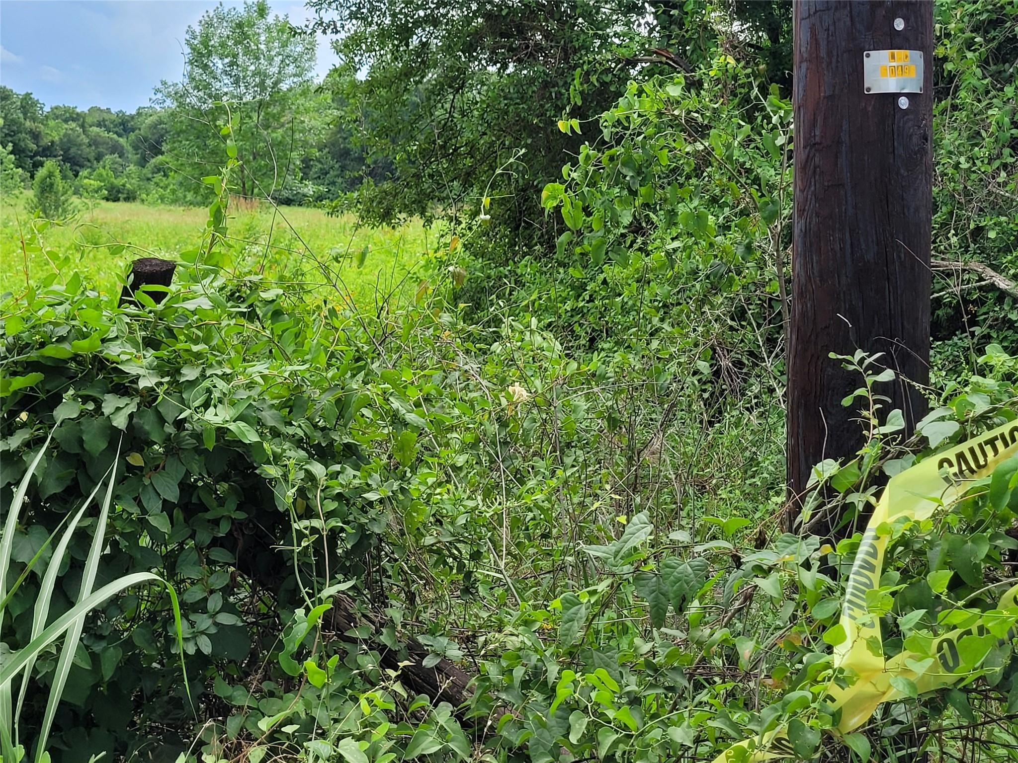 main property photo 36