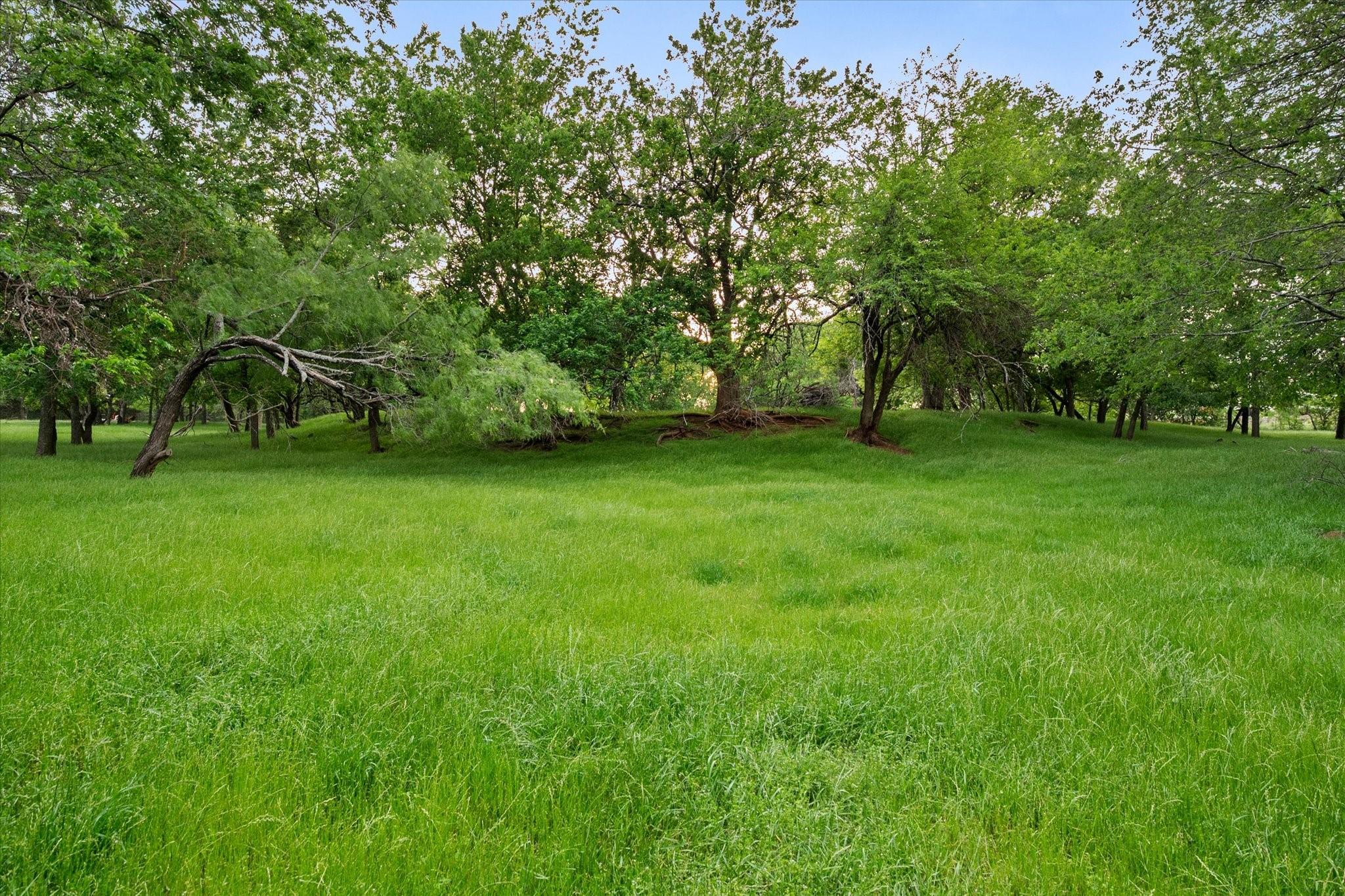 main property photo 28