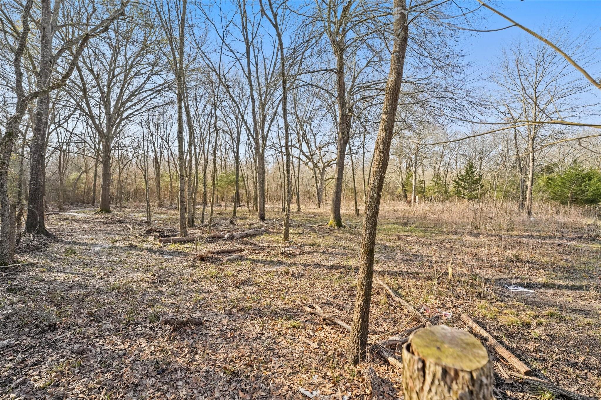 main property photo 28