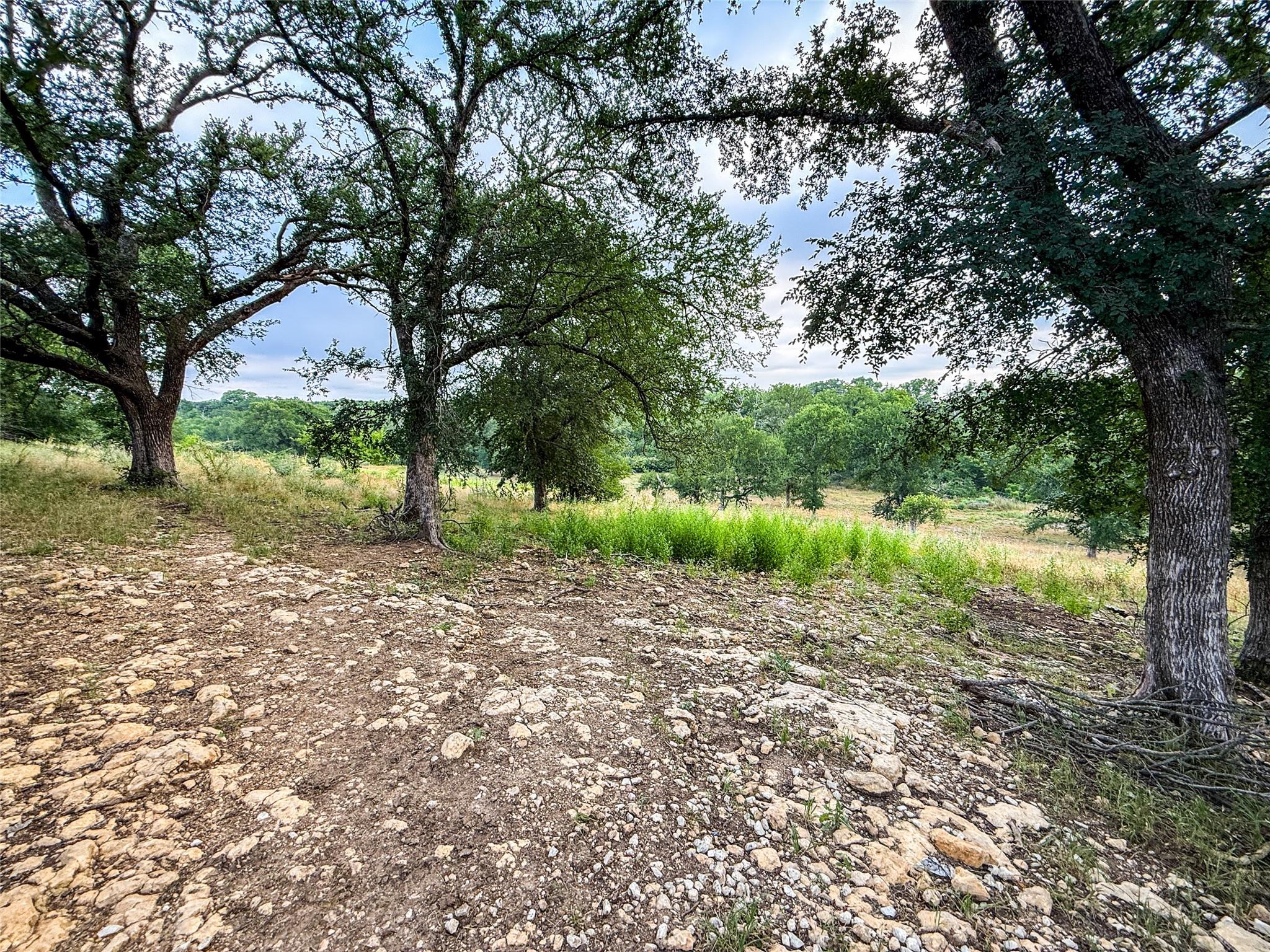 main property photo 25