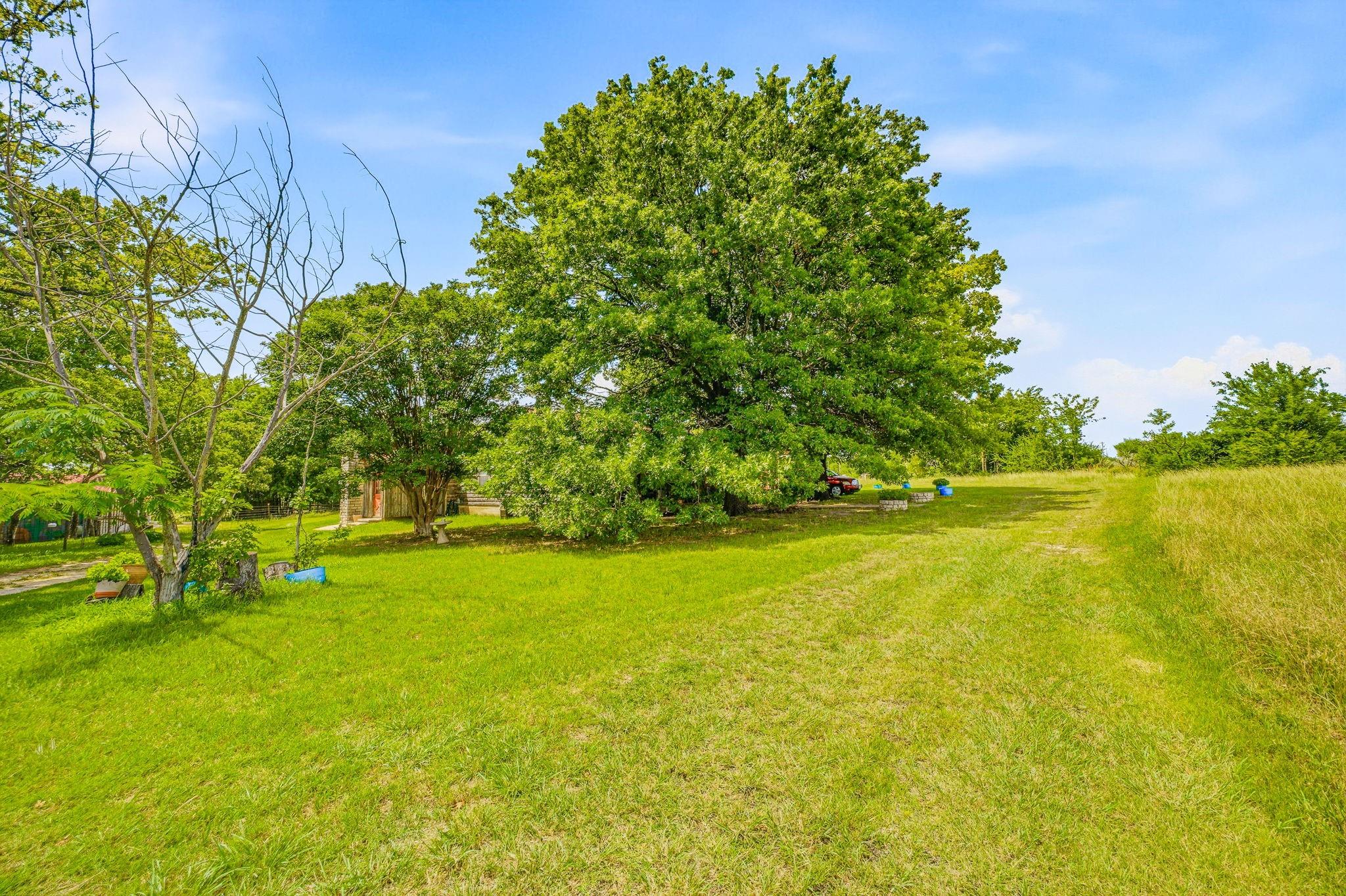 main property photo 10