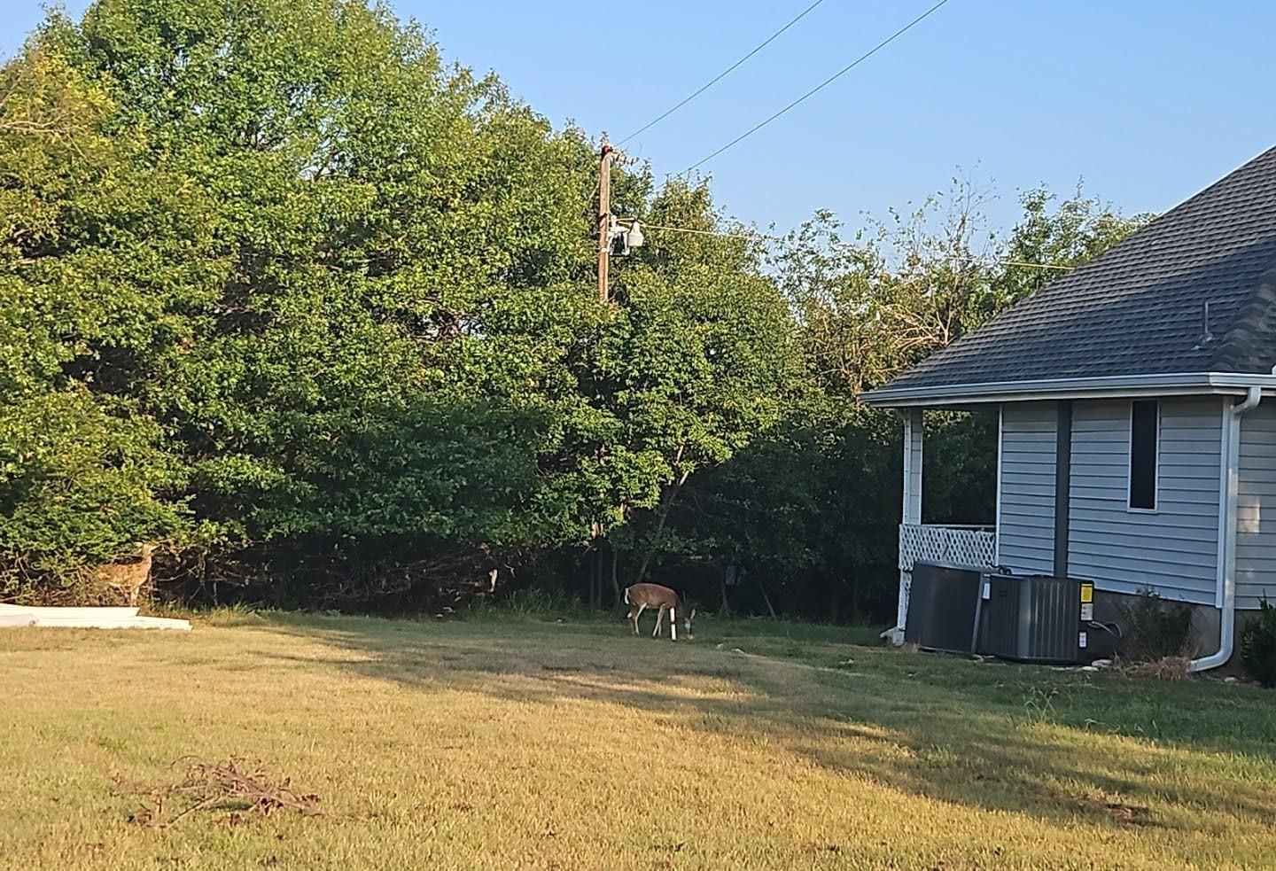 main property photo 30