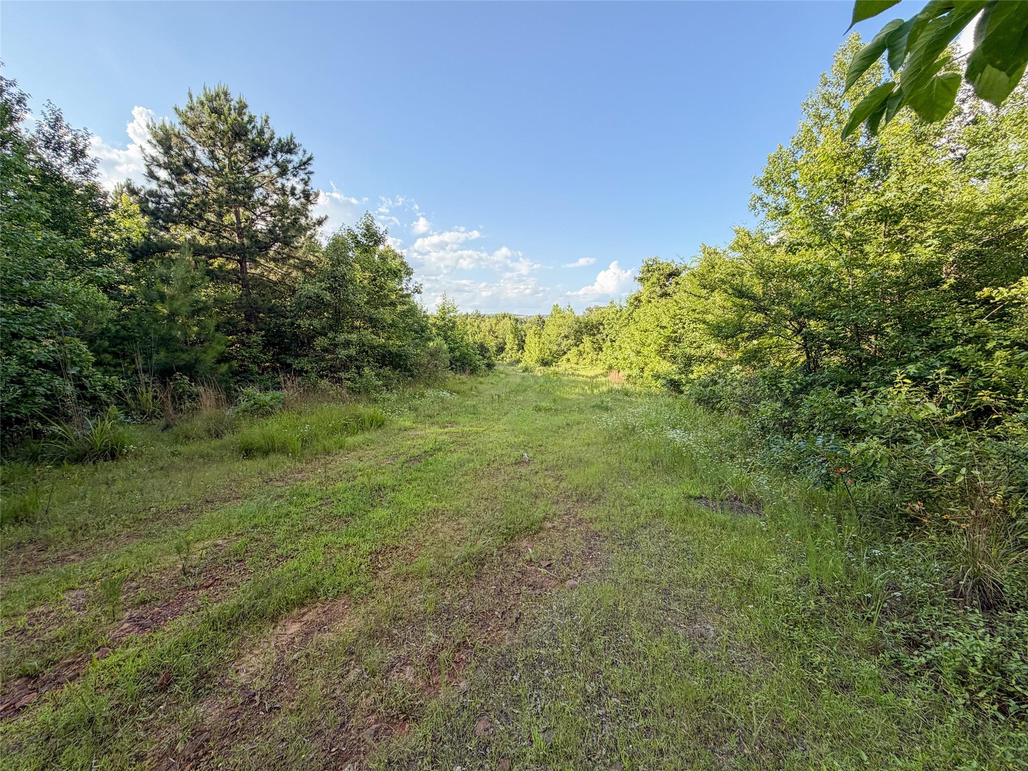 main property photo 10