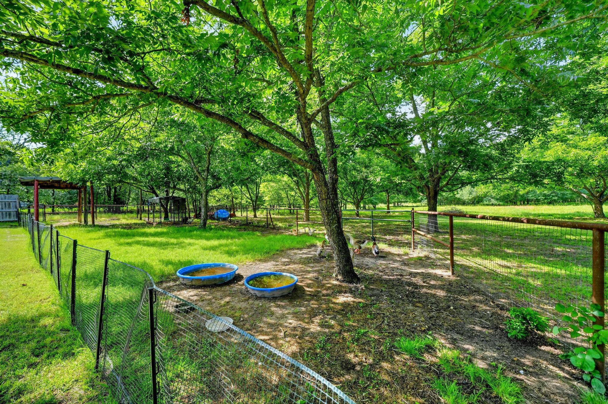 main property photo 32