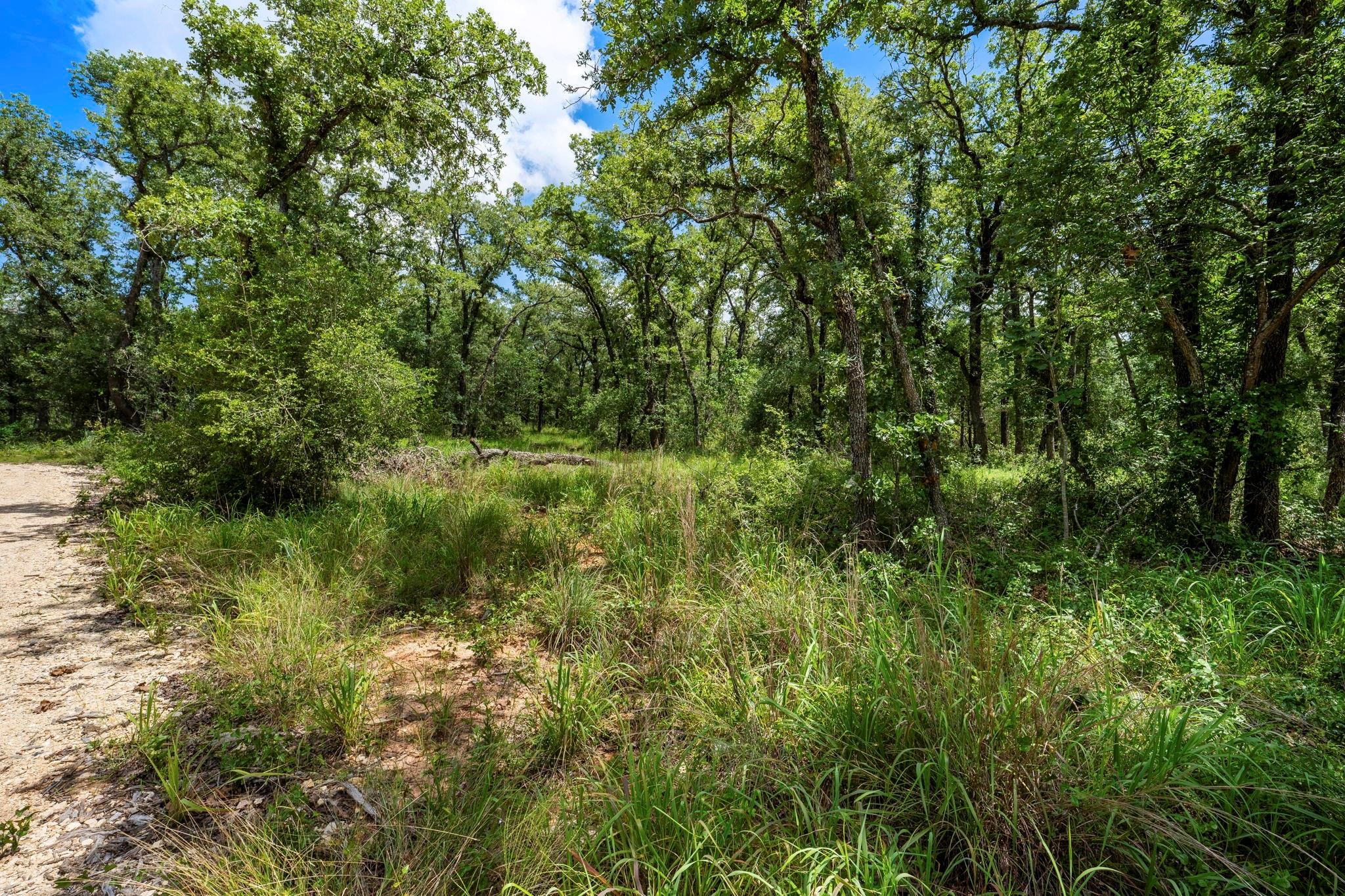 main property photo 17