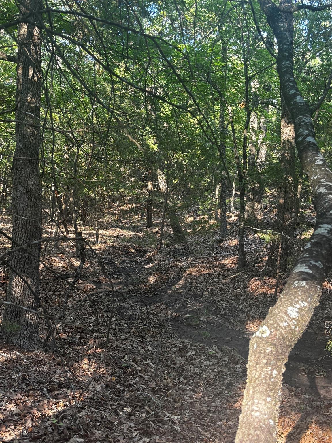 main property photo 16