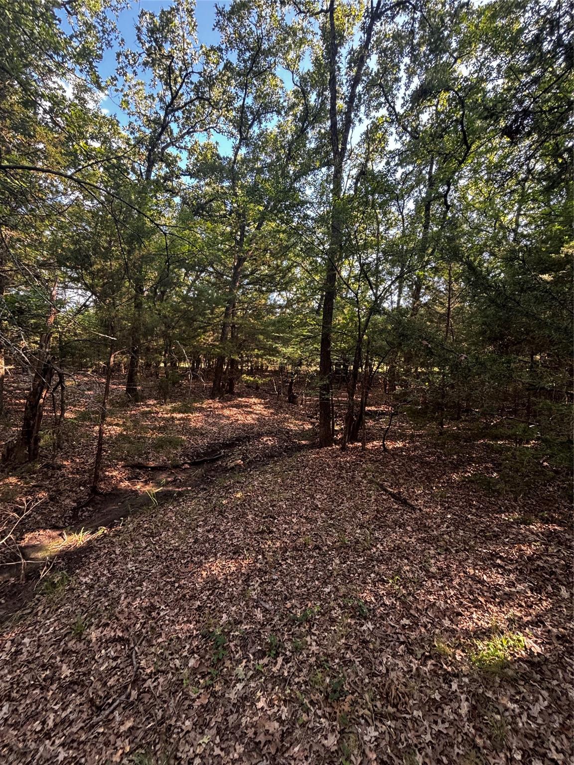 main property photo 17