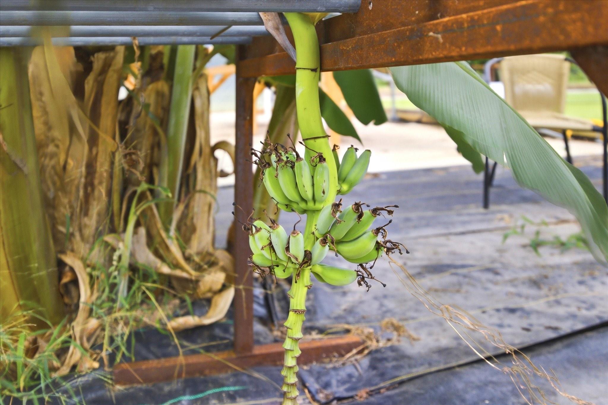 main property photo 26