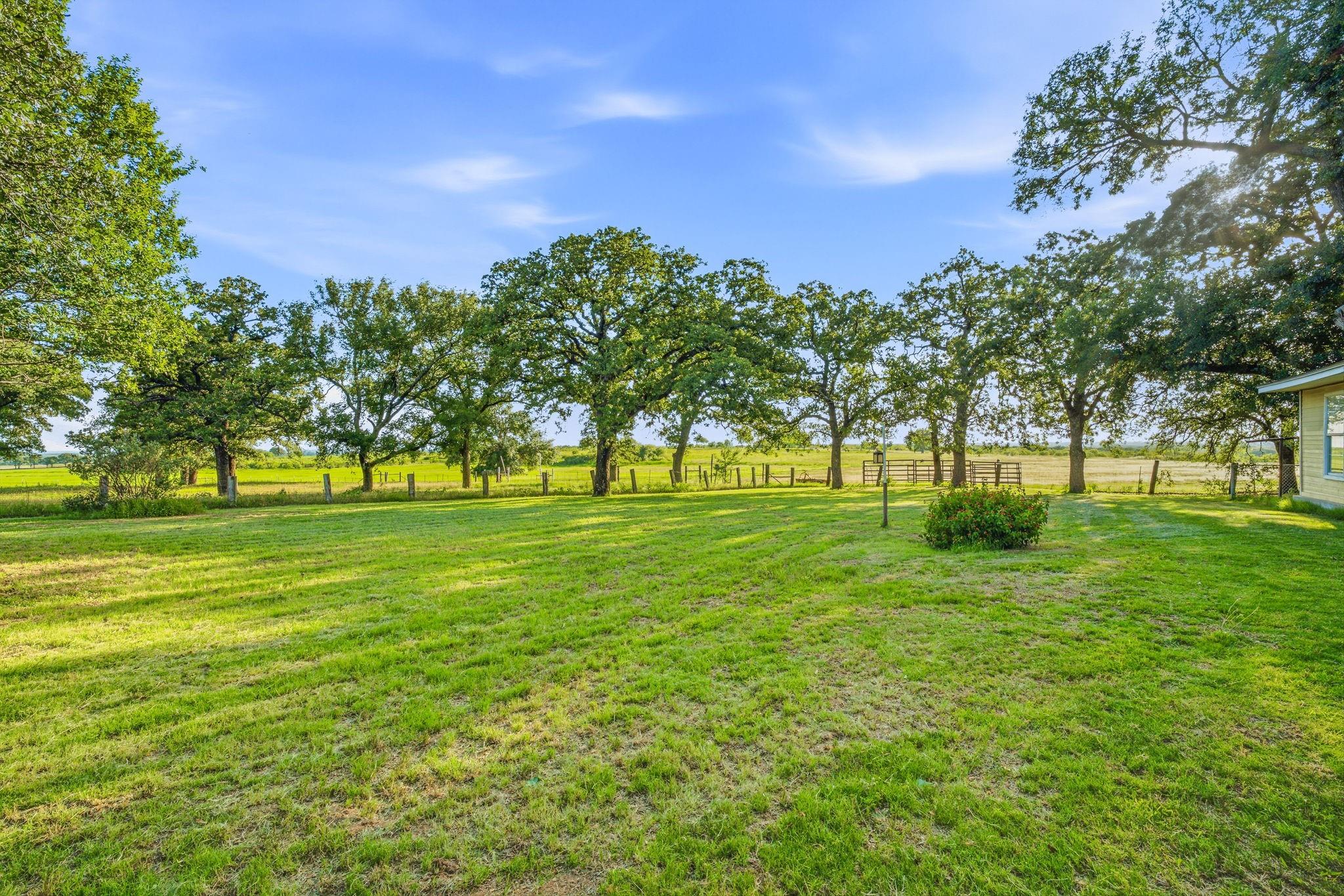 main property photo 37