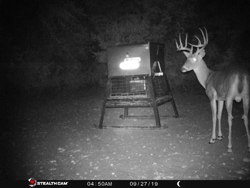 main property photo 17