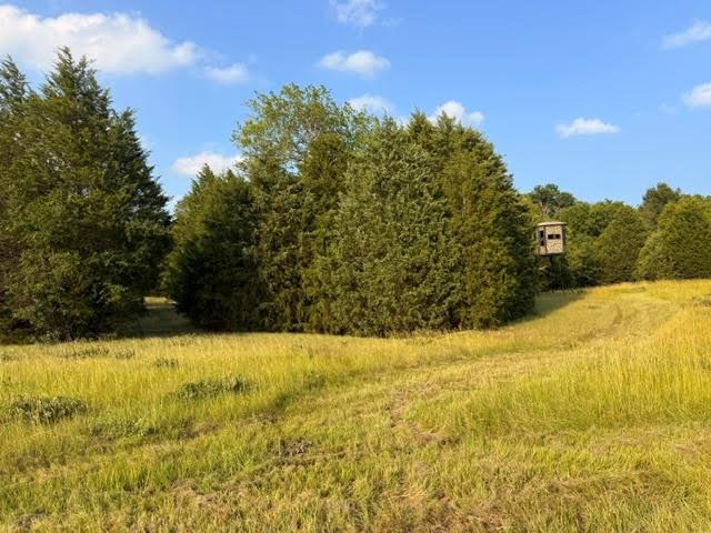main property photo 18