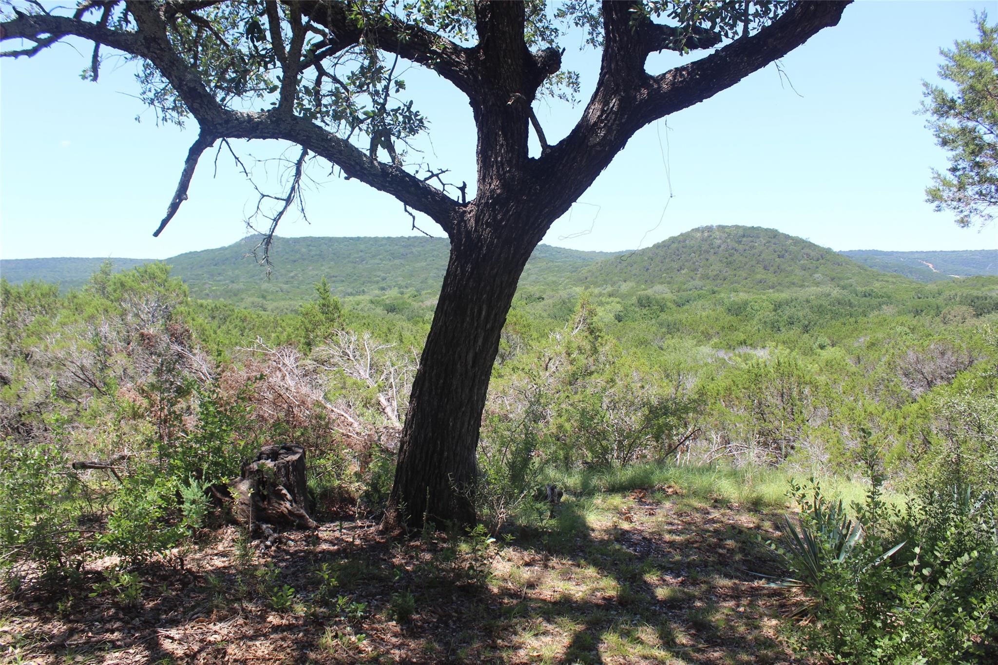 main property photo 10