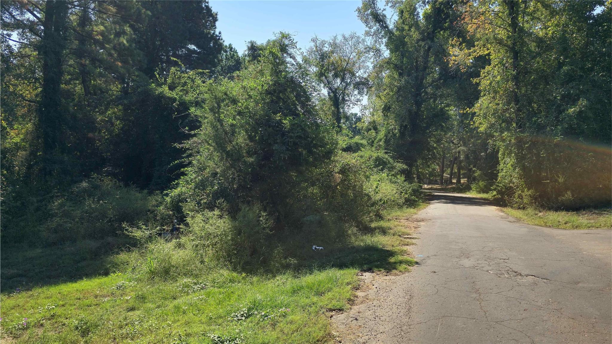main property photo 21