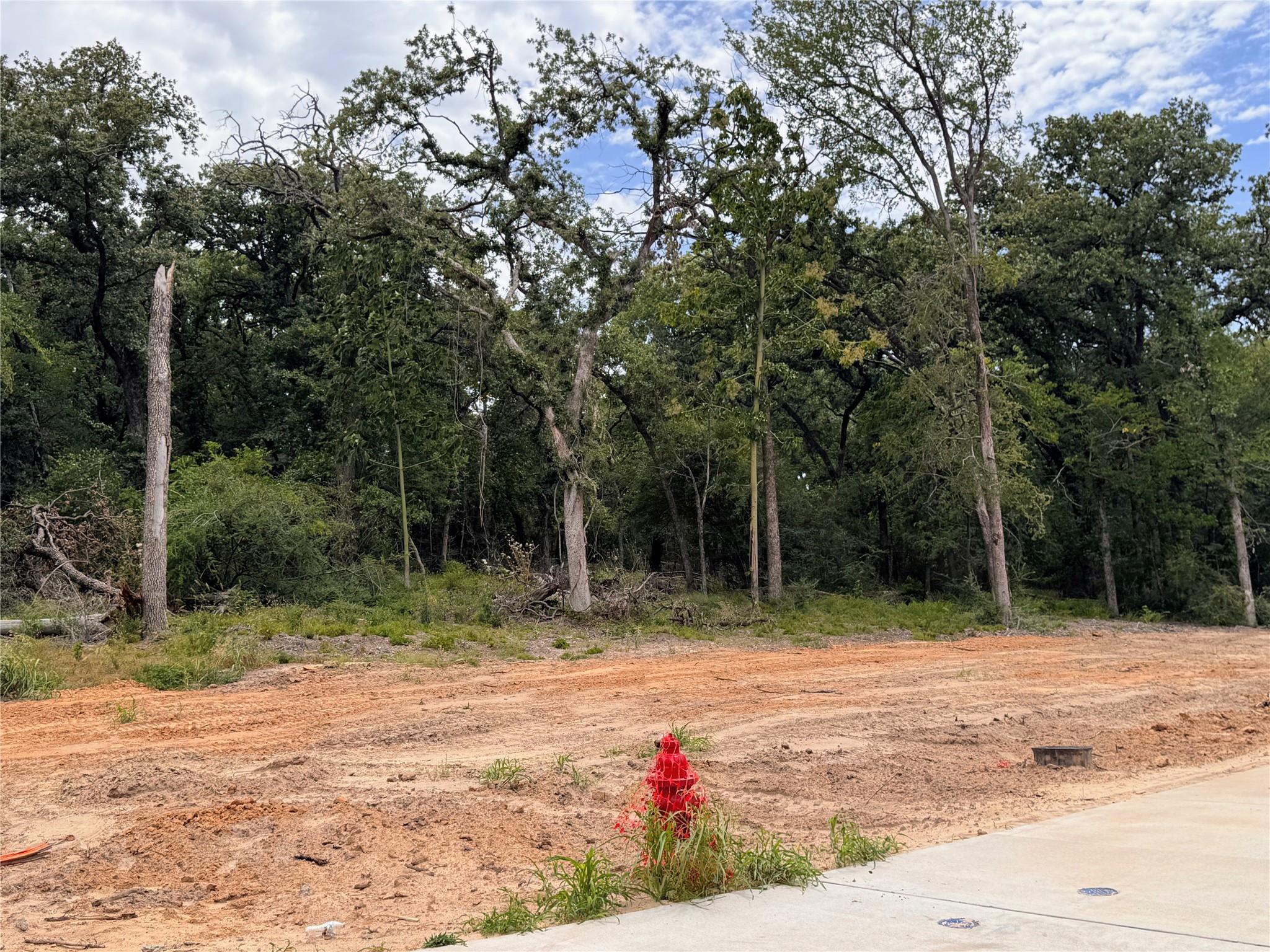 main property photo 11