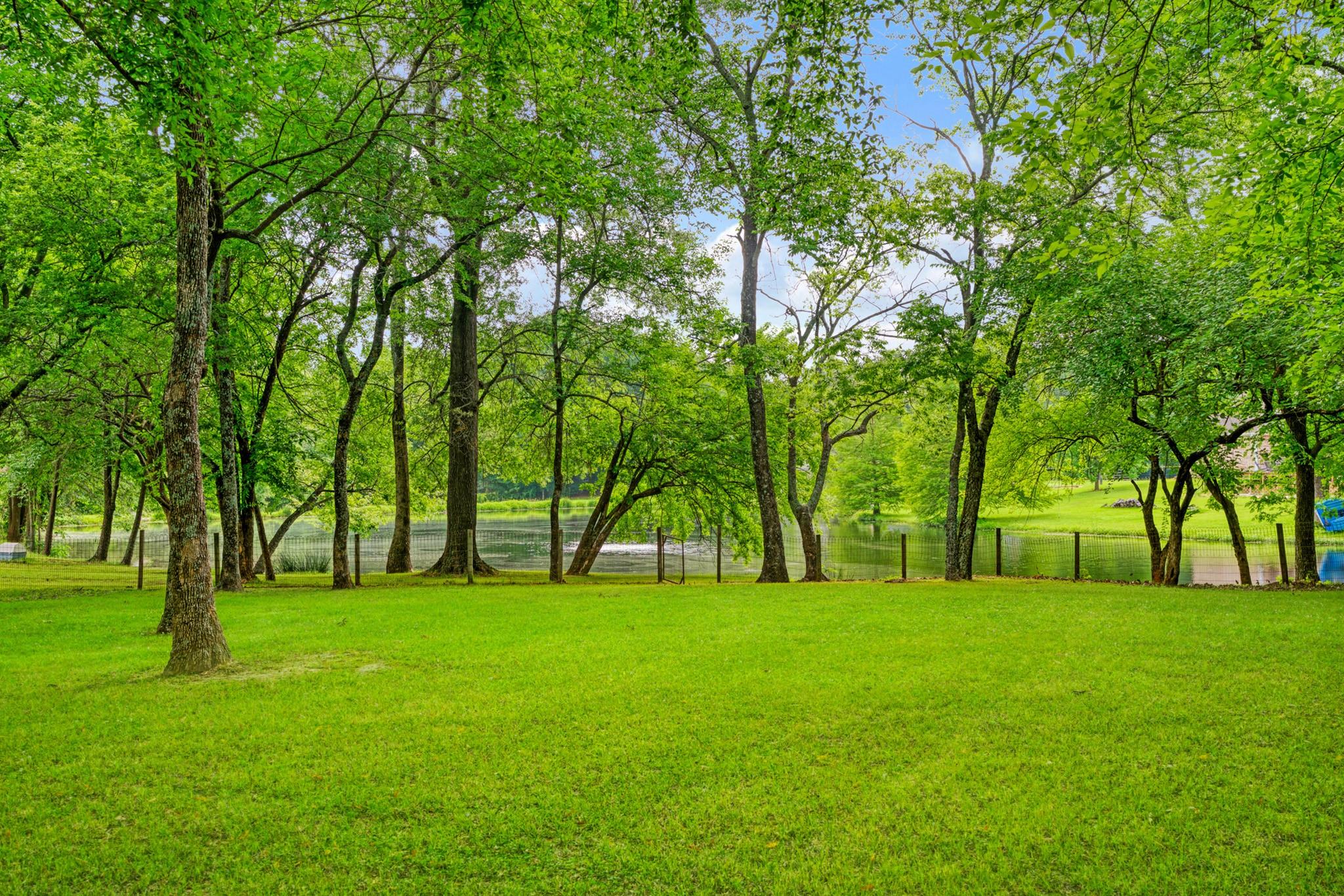 main property photo 29