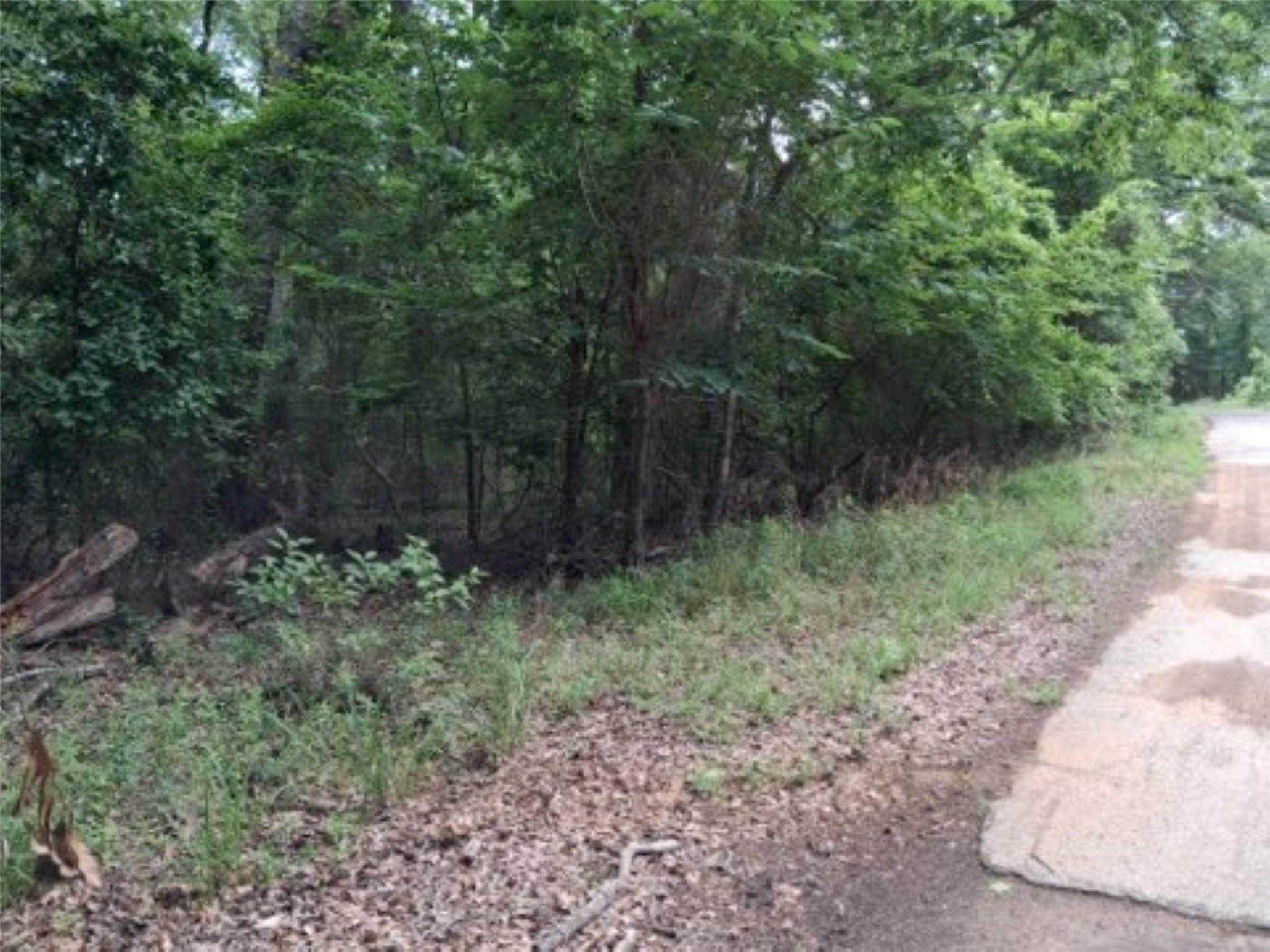 main property photo 6