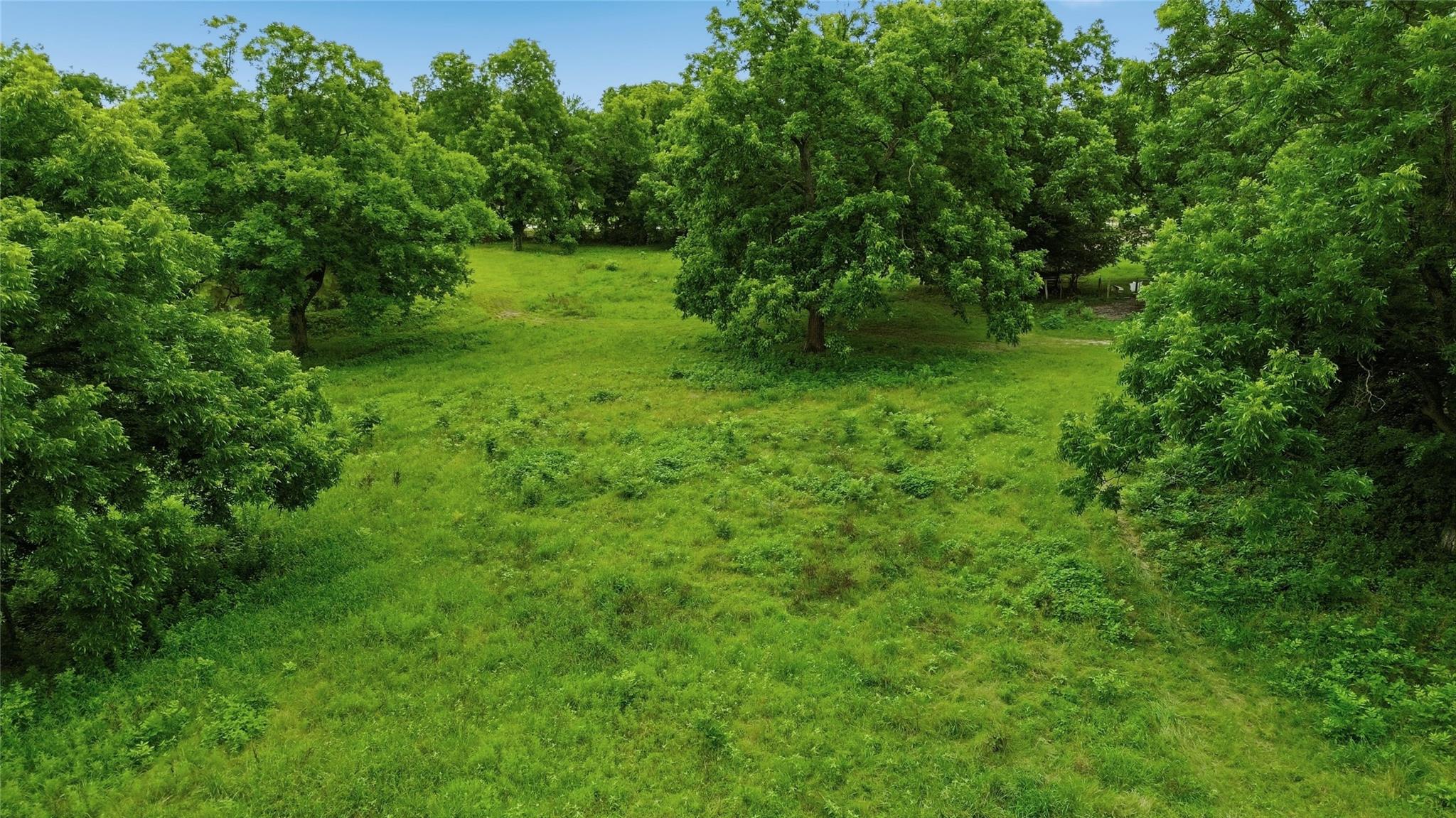 main property photo 33
