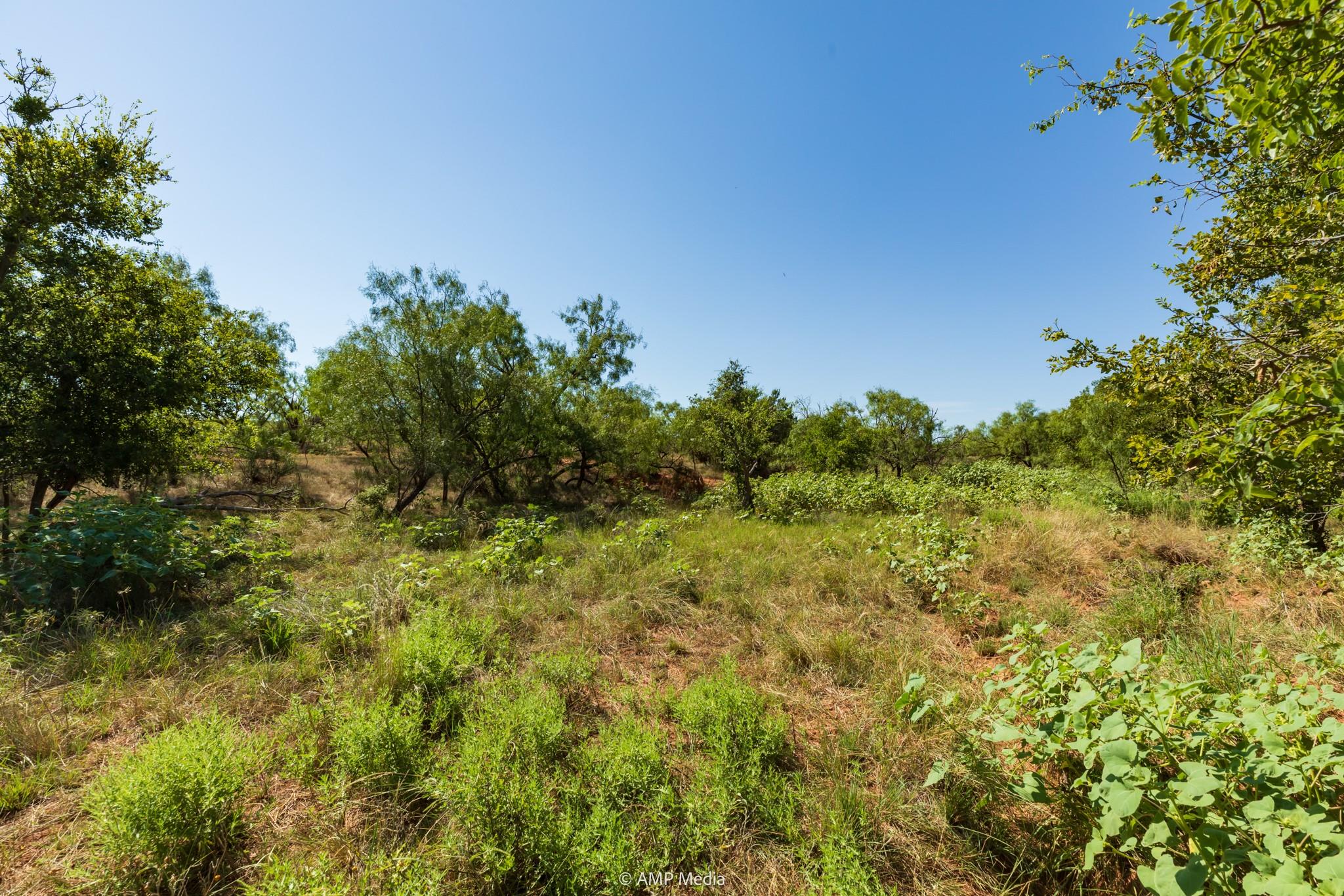 main property photo 11
