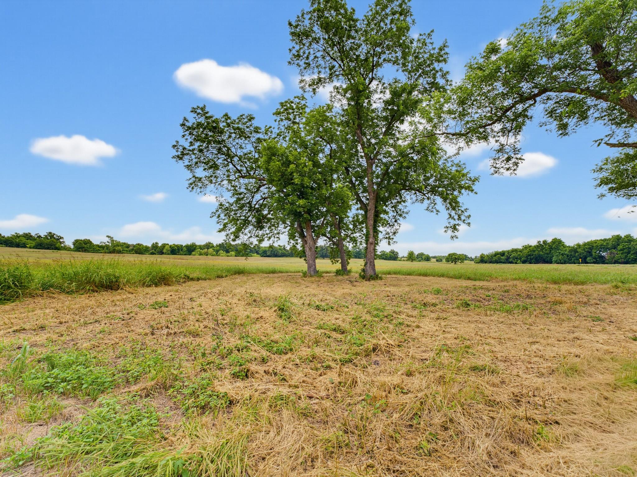 main property photo 35