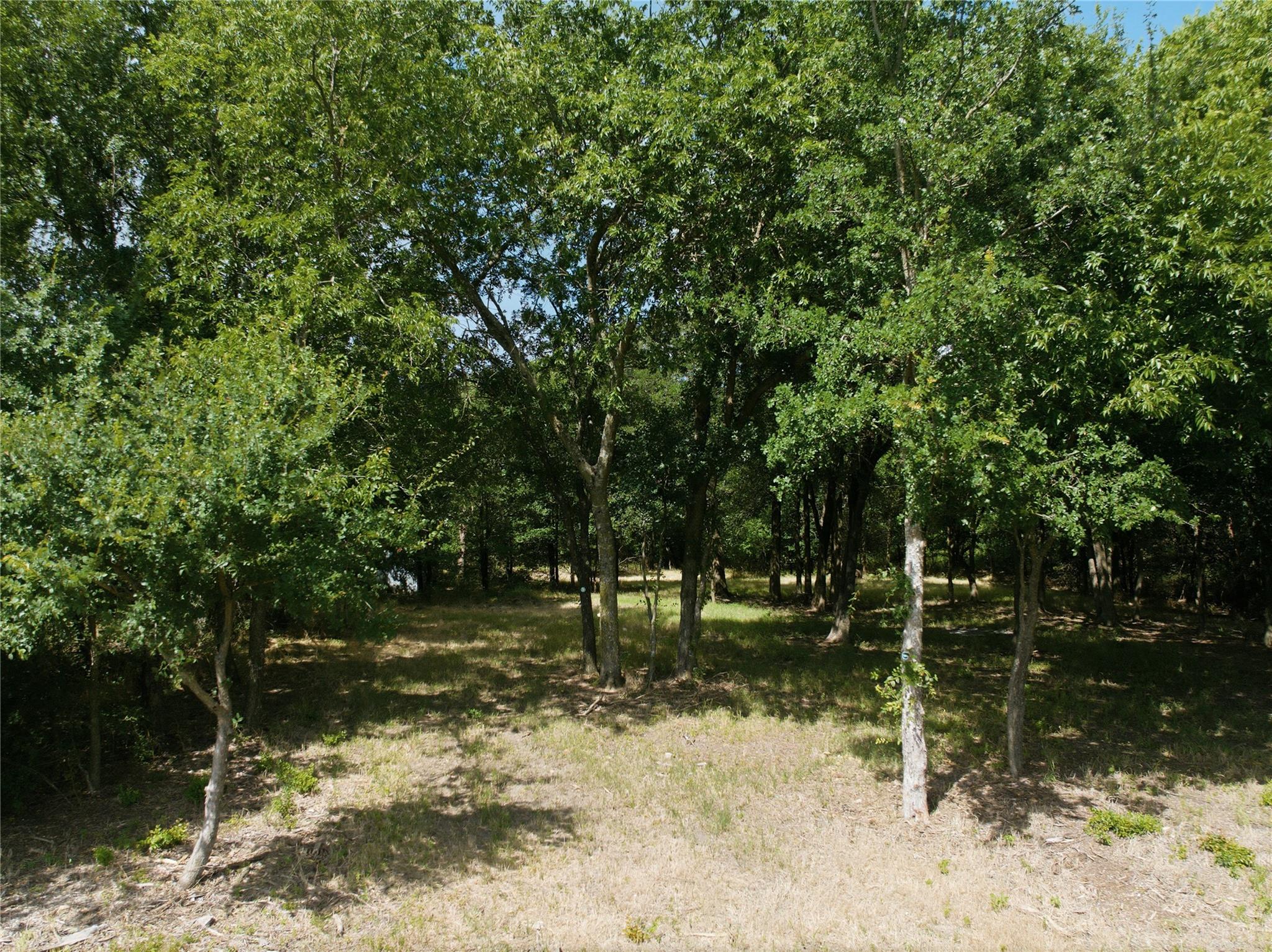 main property photo 6