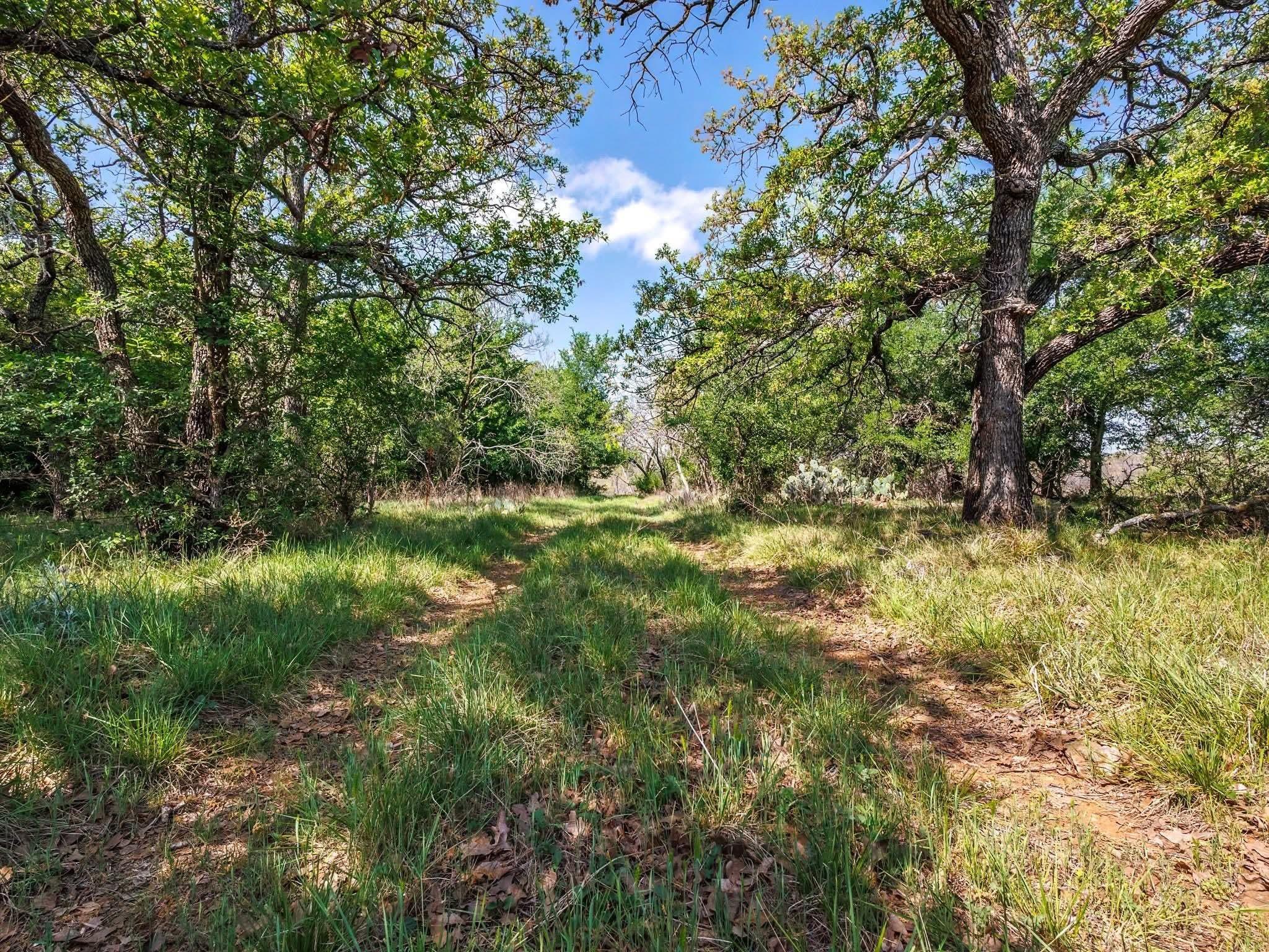 main property photo 22