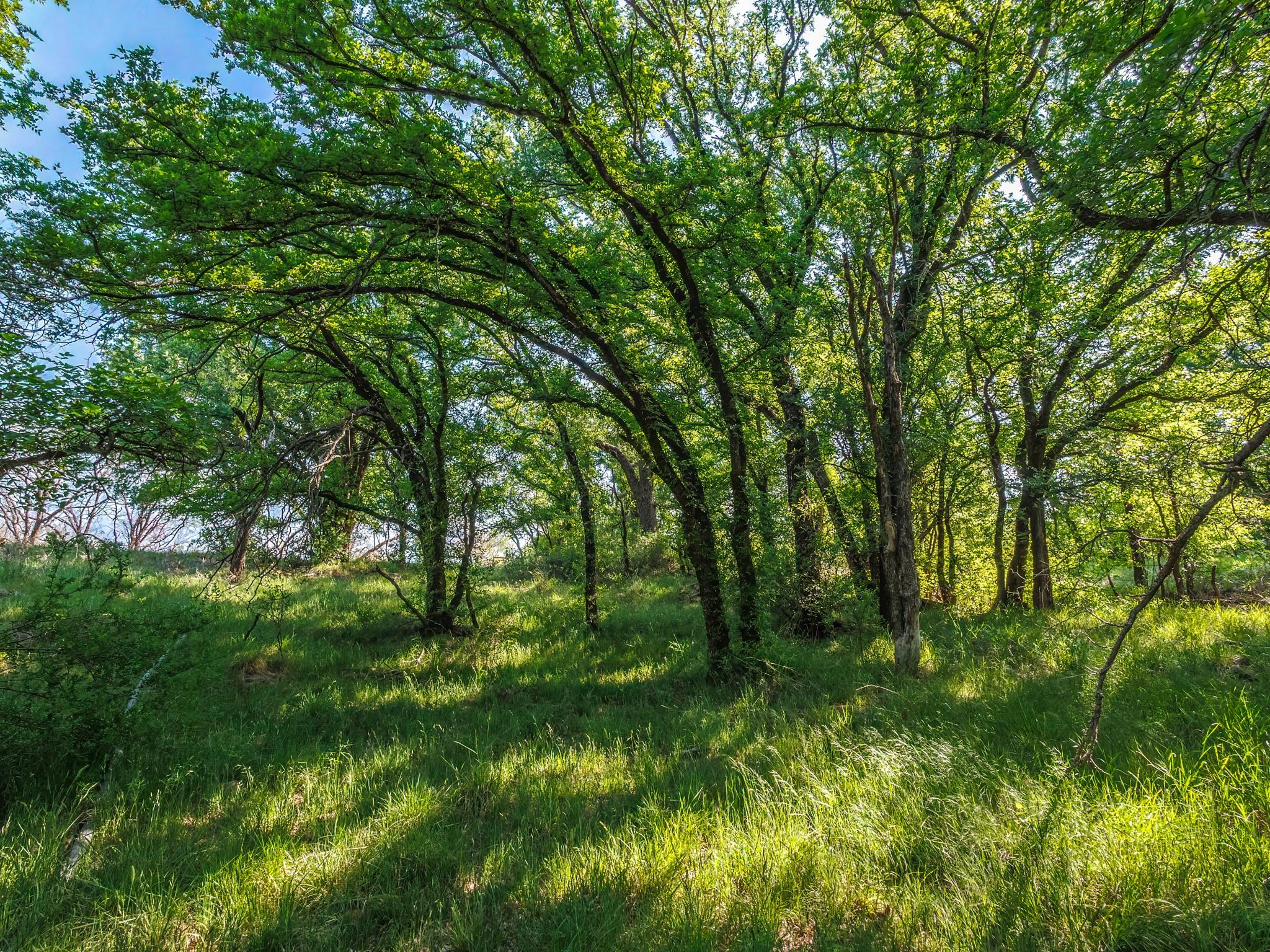 main property photo 24