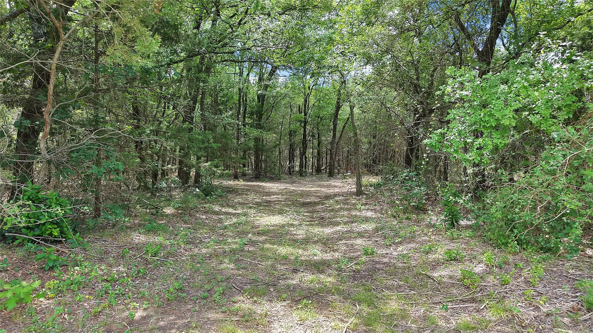 main property photo 11