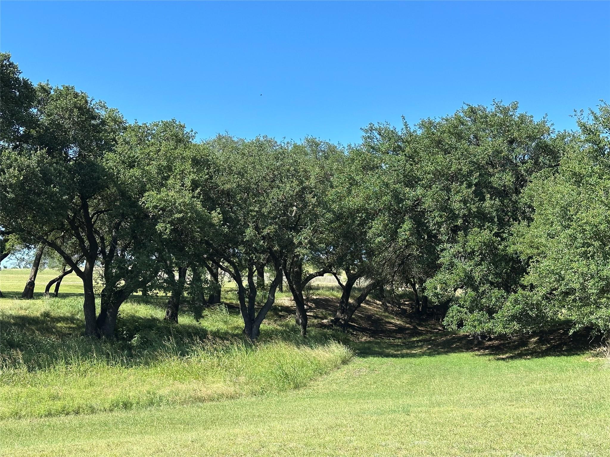 property viewer photo 4