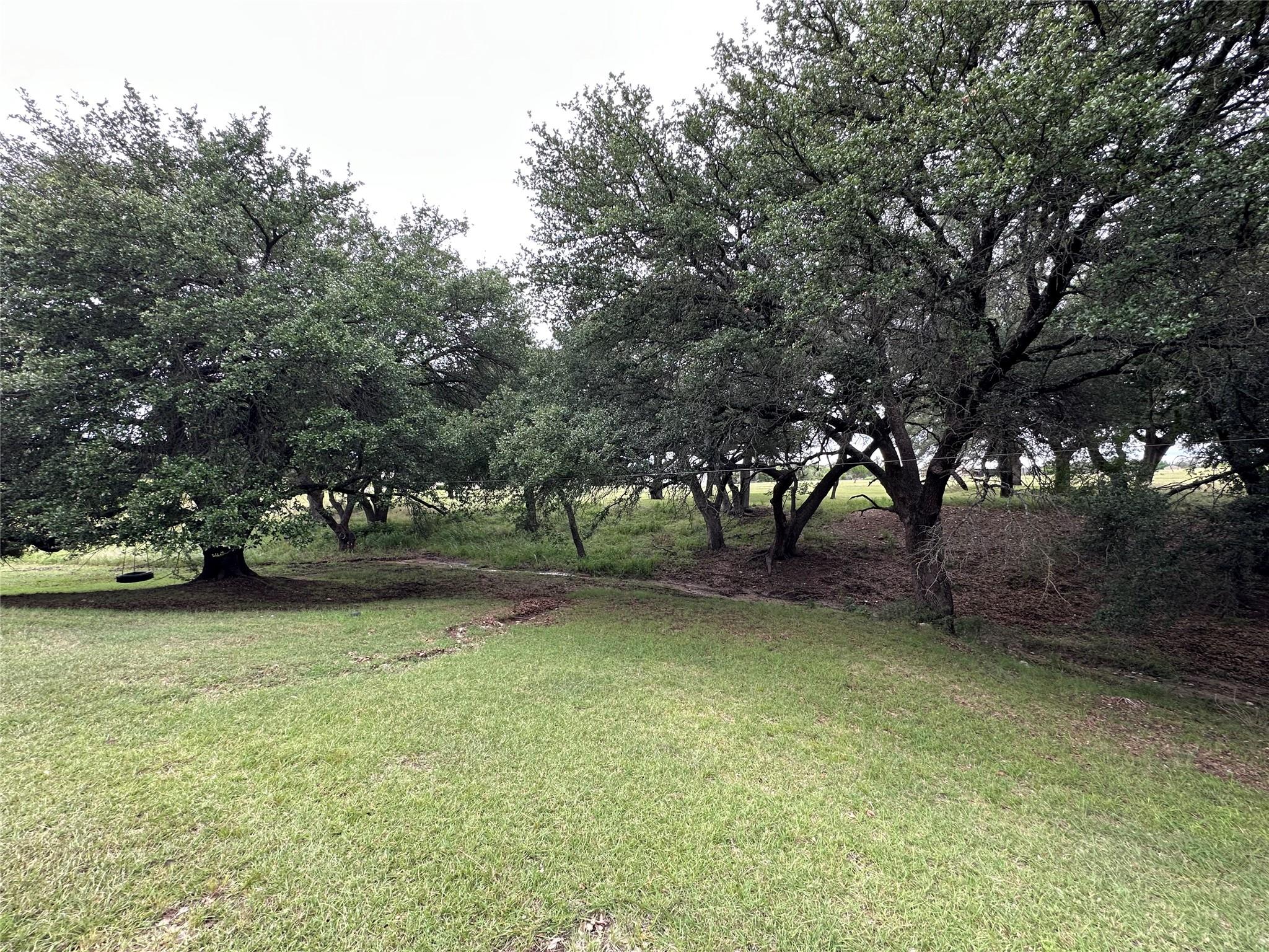 property viewer photo 9