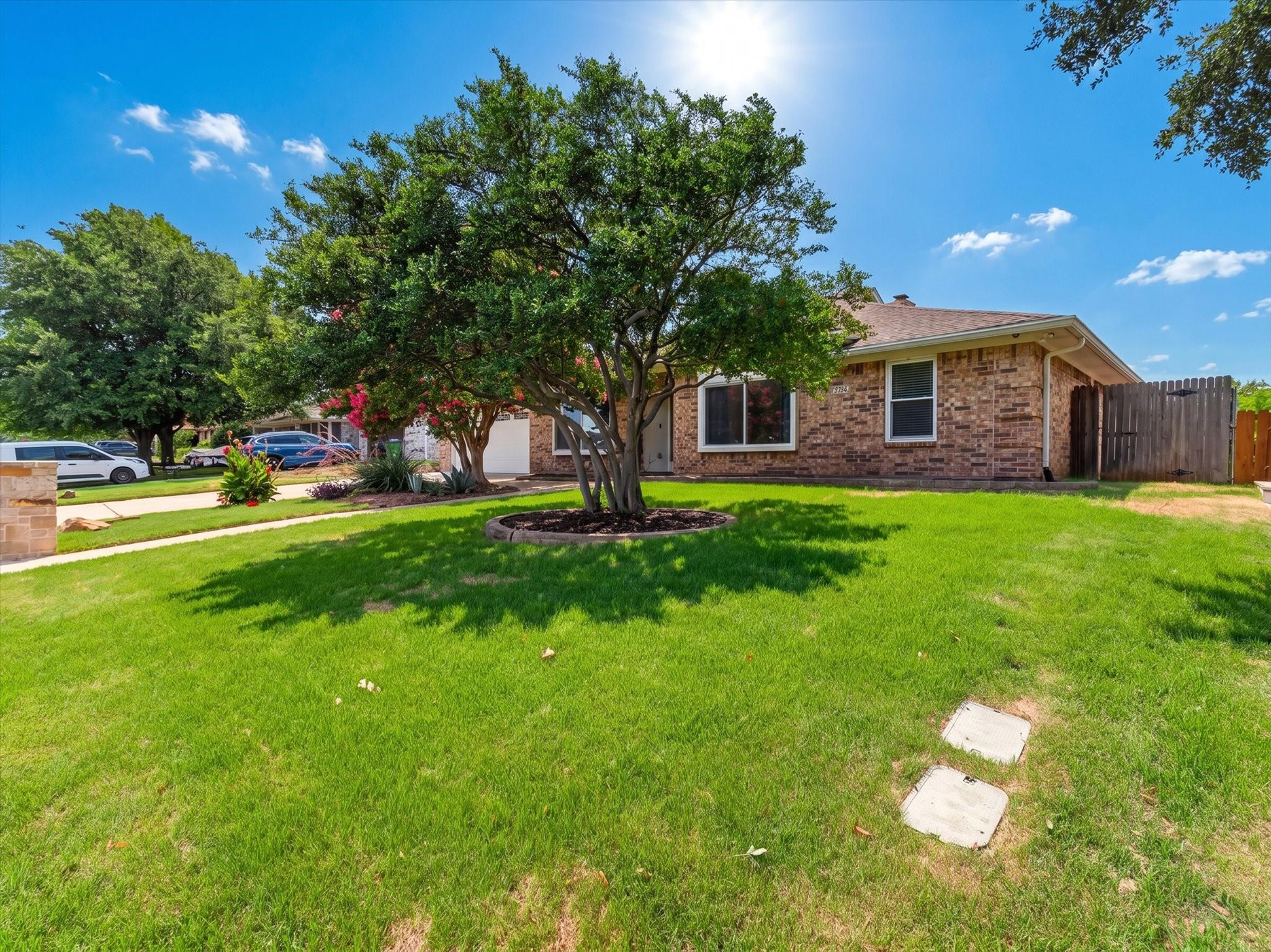 property viewer photo 3