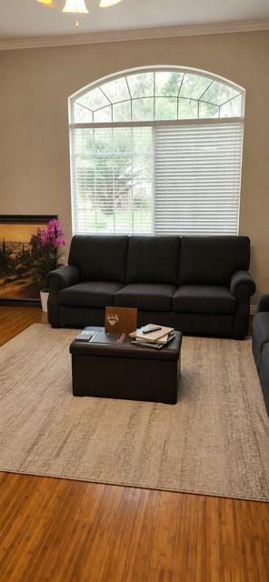 main property photo 9