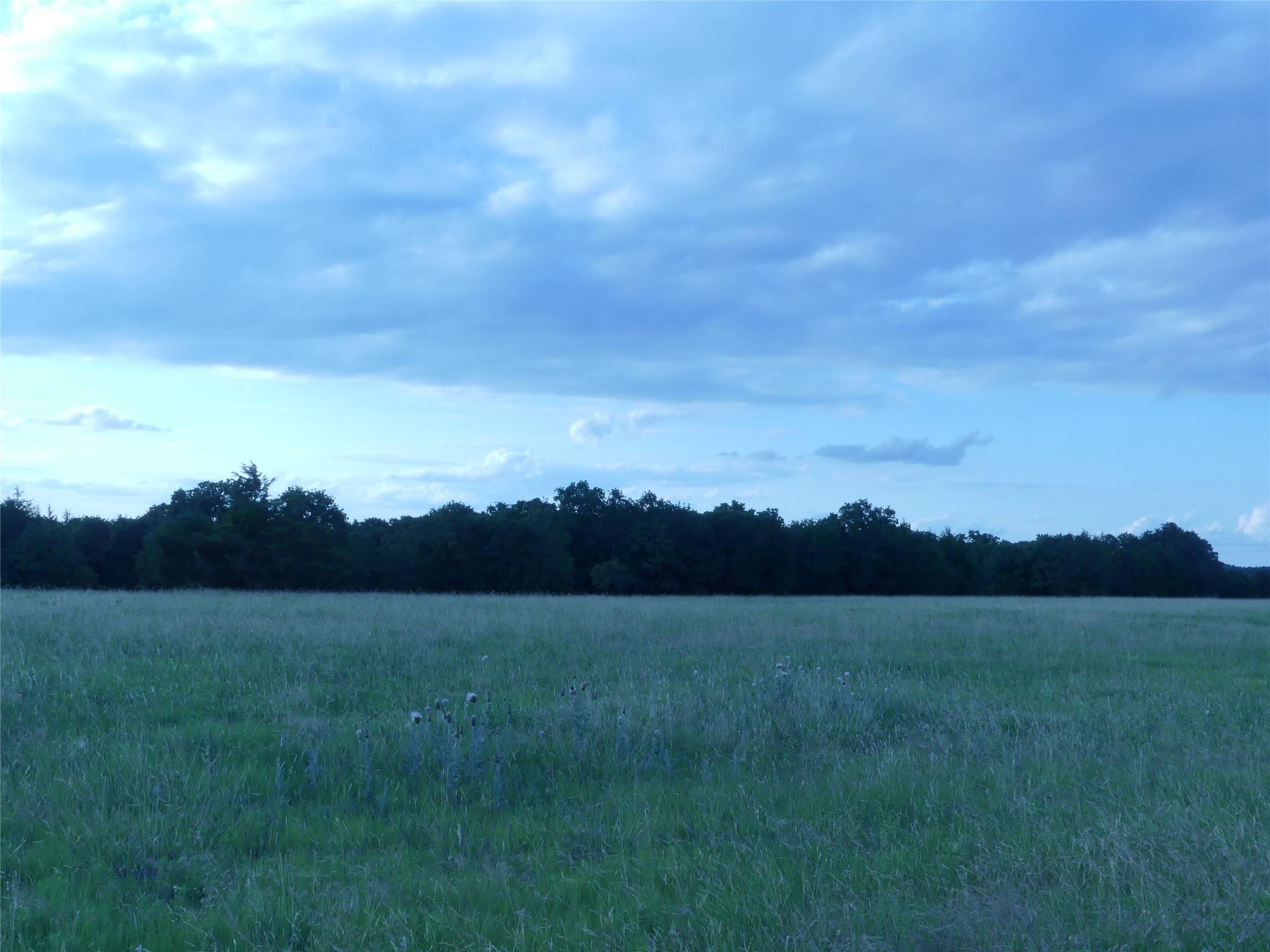 main property photo 36