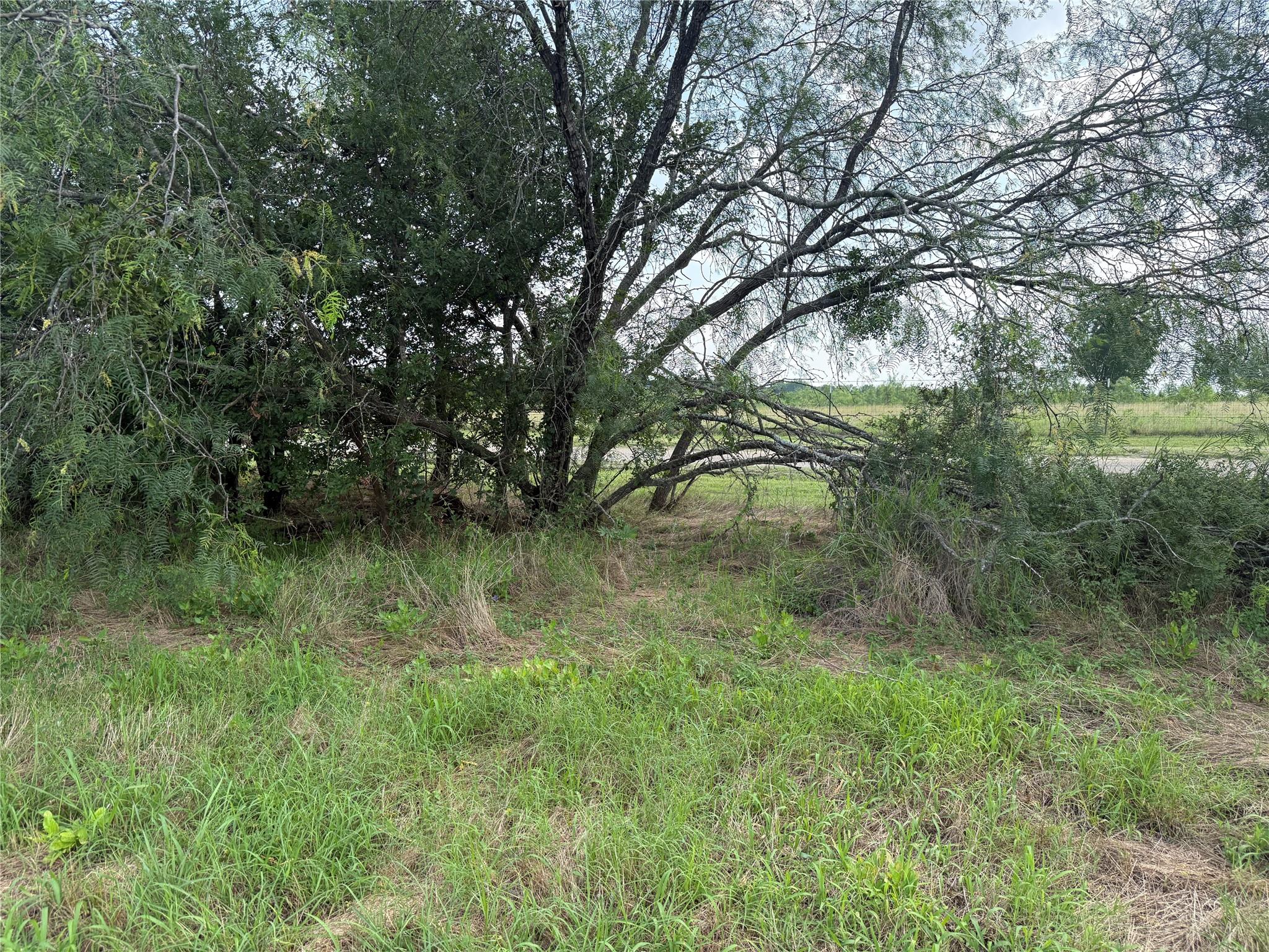 main property photo 31