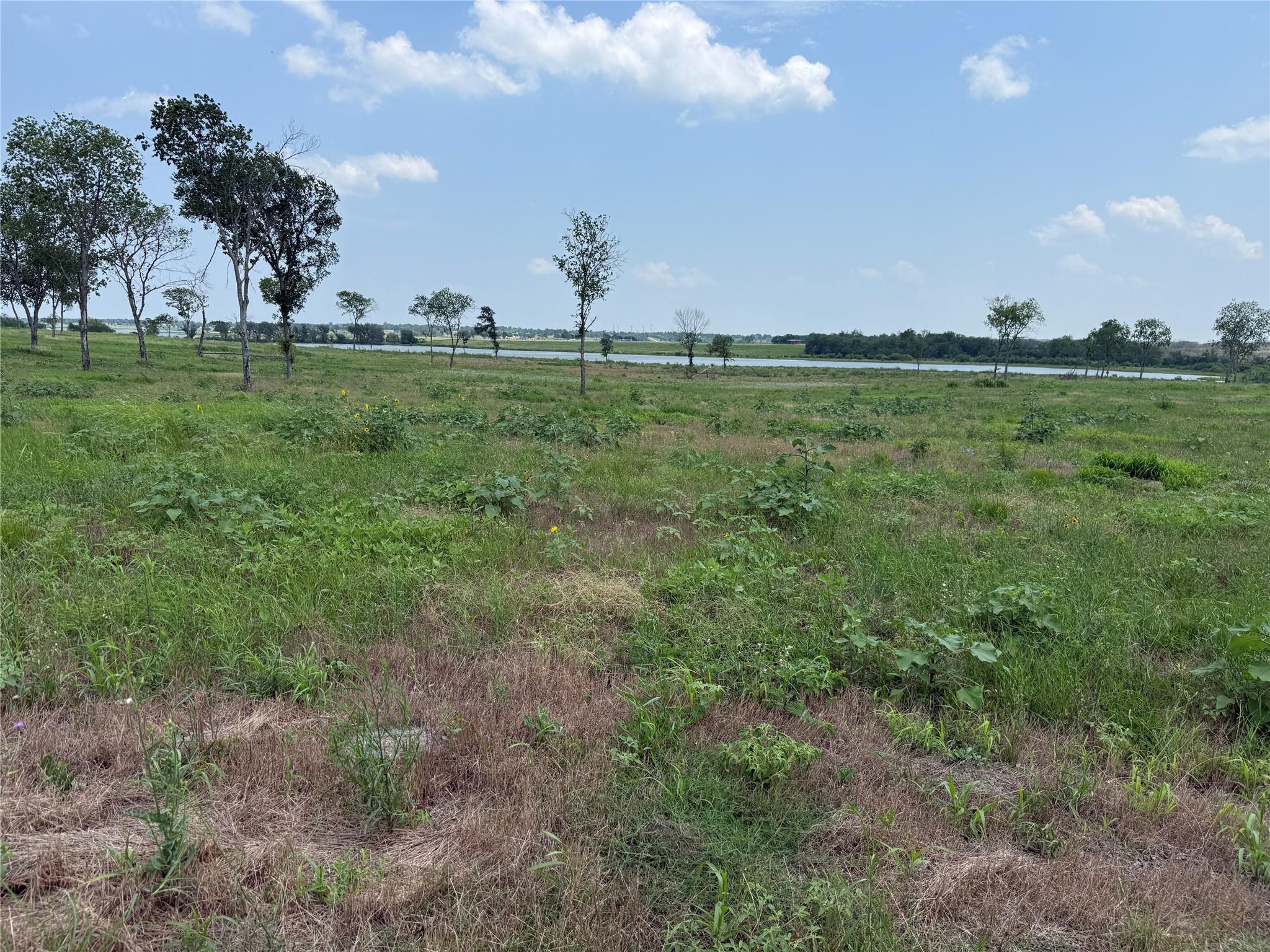 main property photo 20