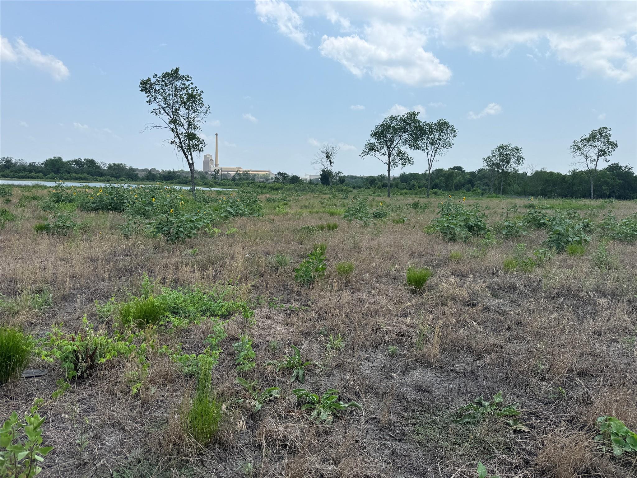 main property photo 9