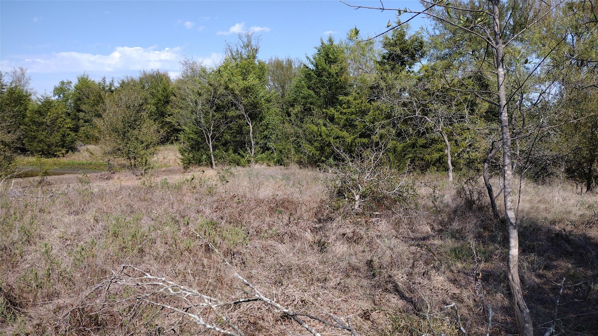 main property photo 10