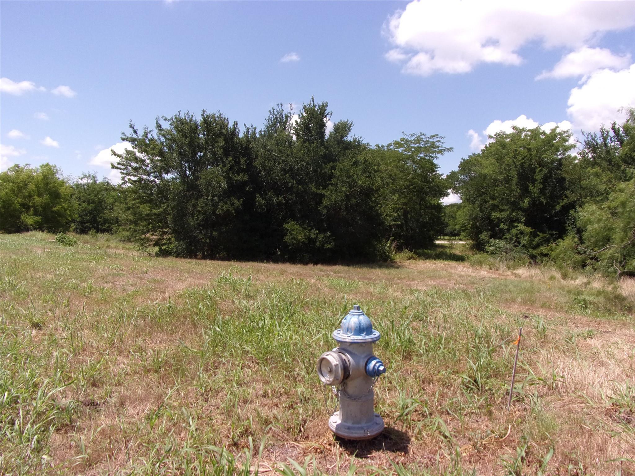 main property photo 10