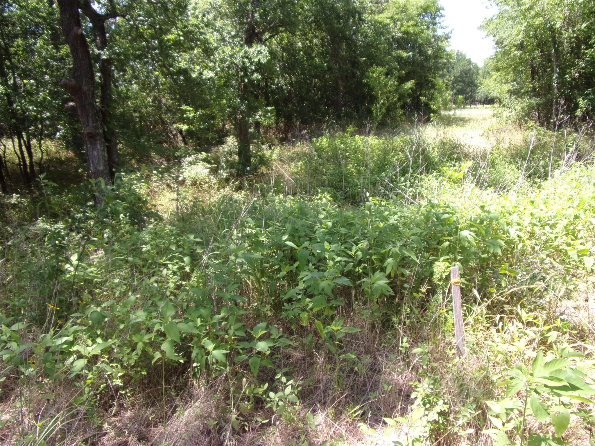main property photo 11