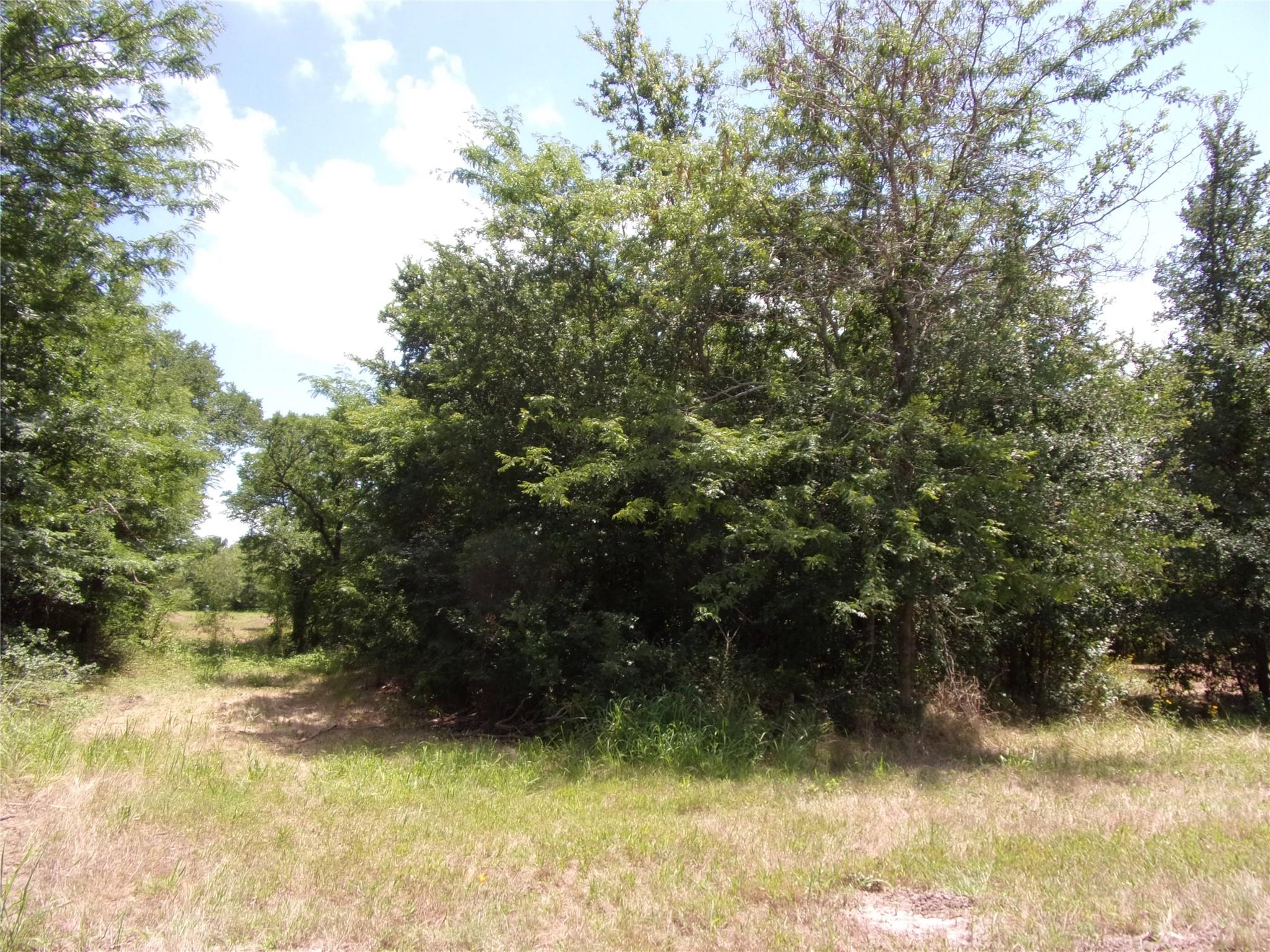 main property photo 13