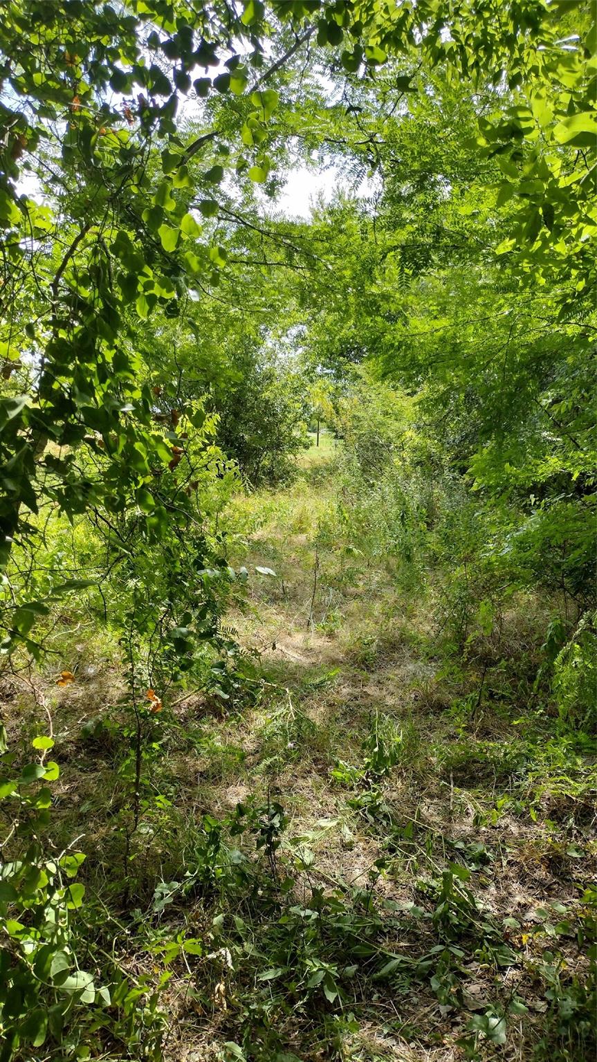 main property photo 10