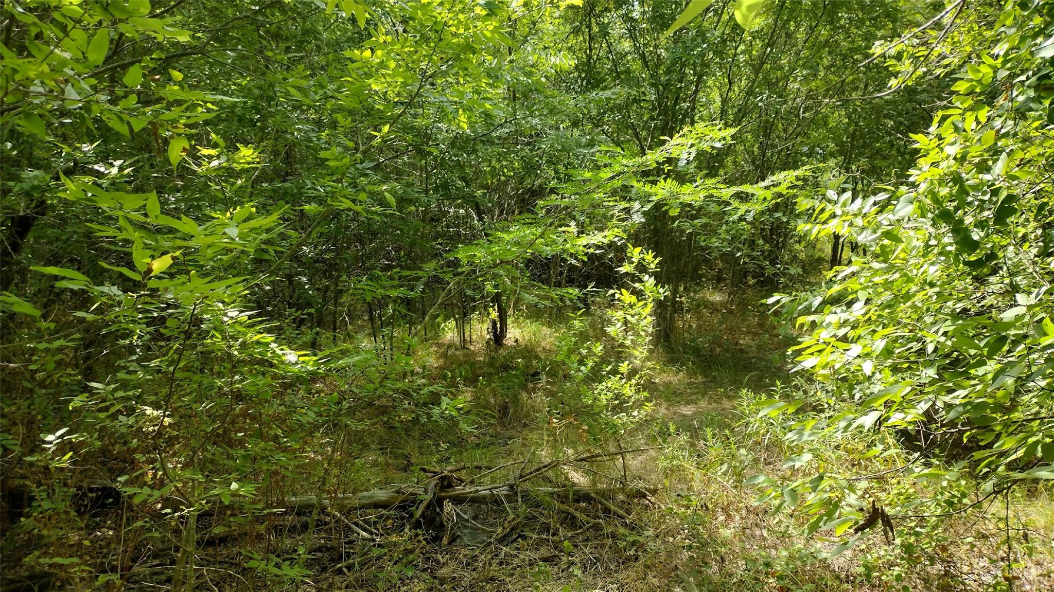 main property photo 11