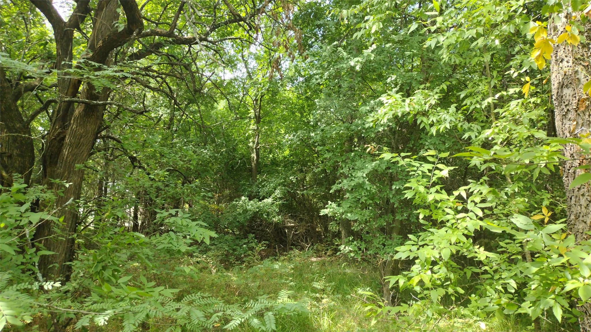 main property photo 16
